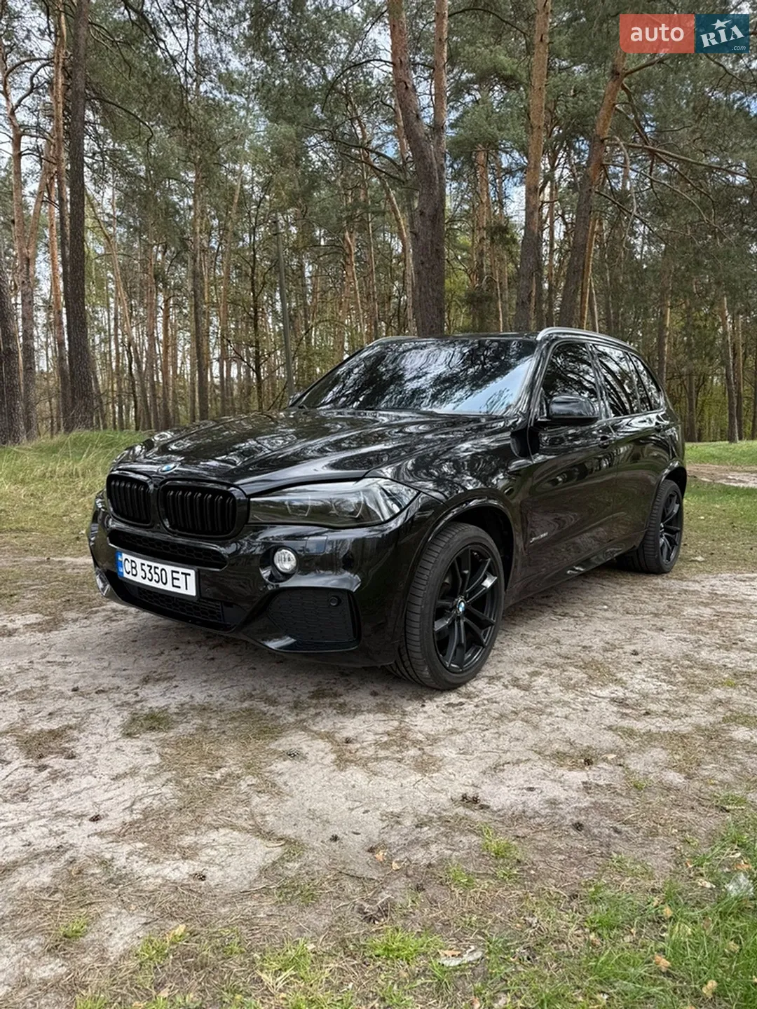 2015 BMW X5 - фото 1