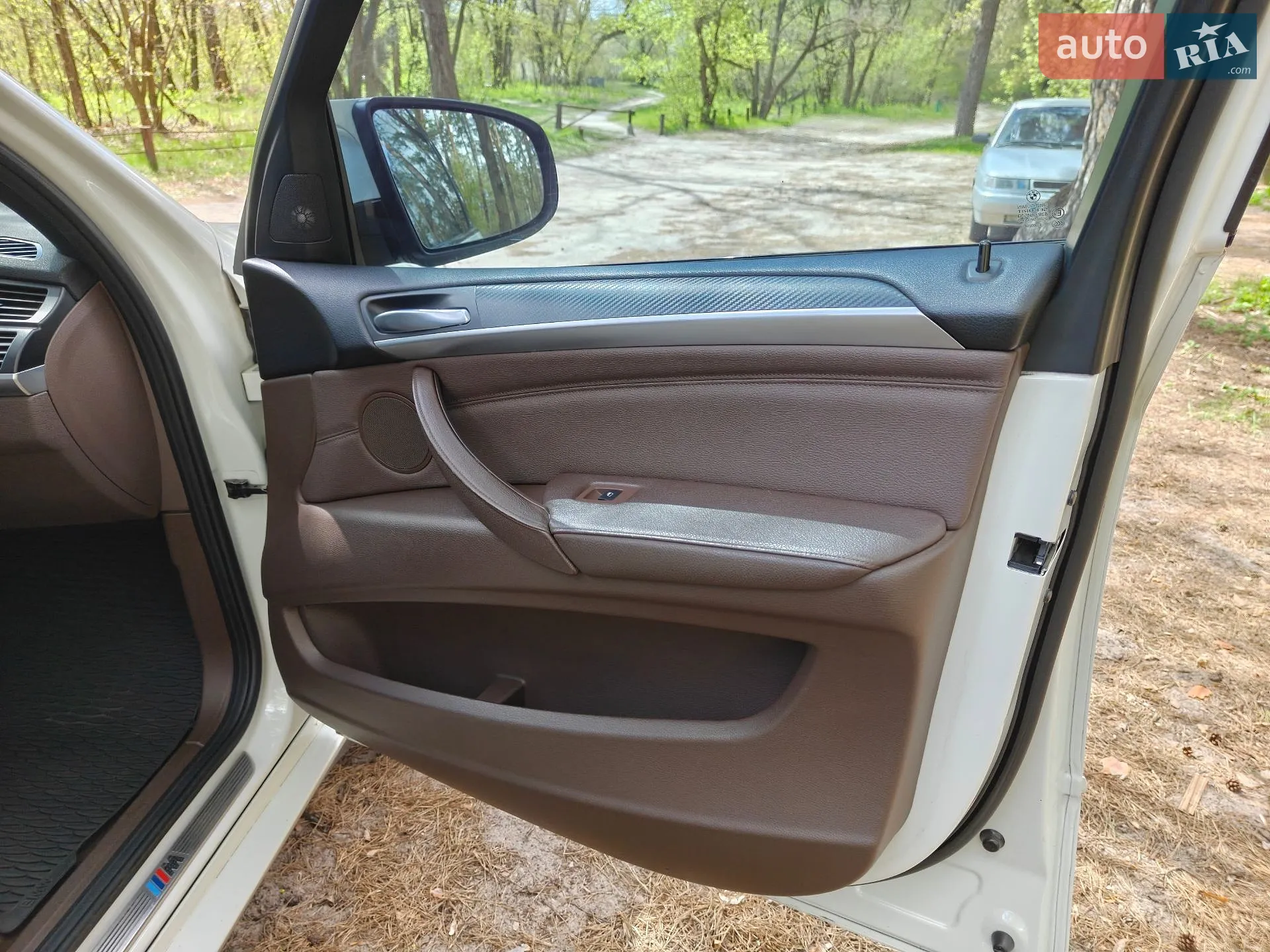2011 BMW X5 - мініатюра 37