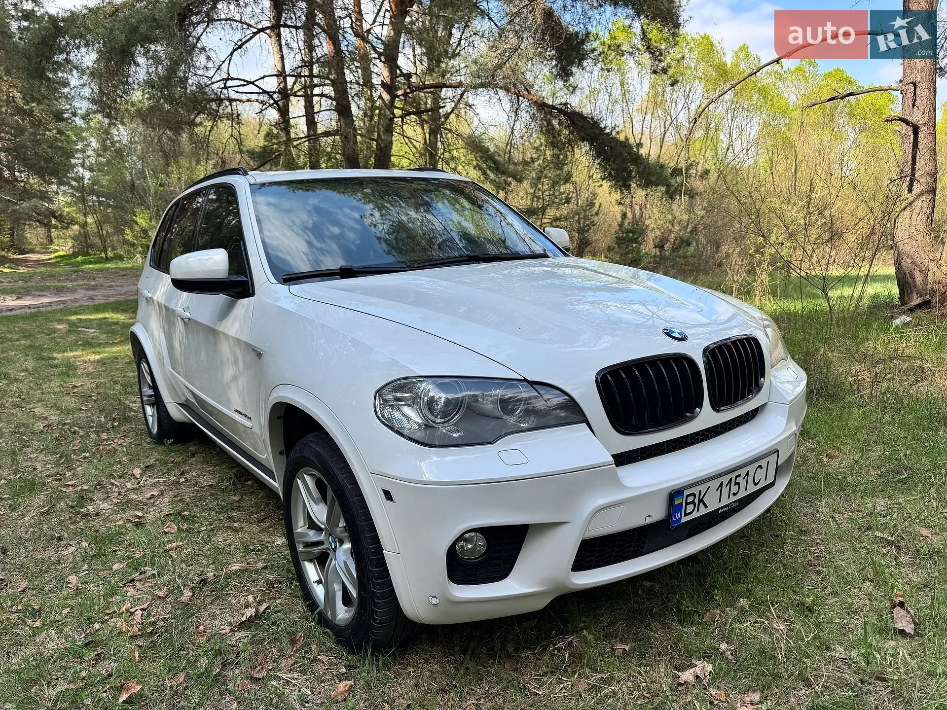 2011 BMW X5 - мініатюра 5