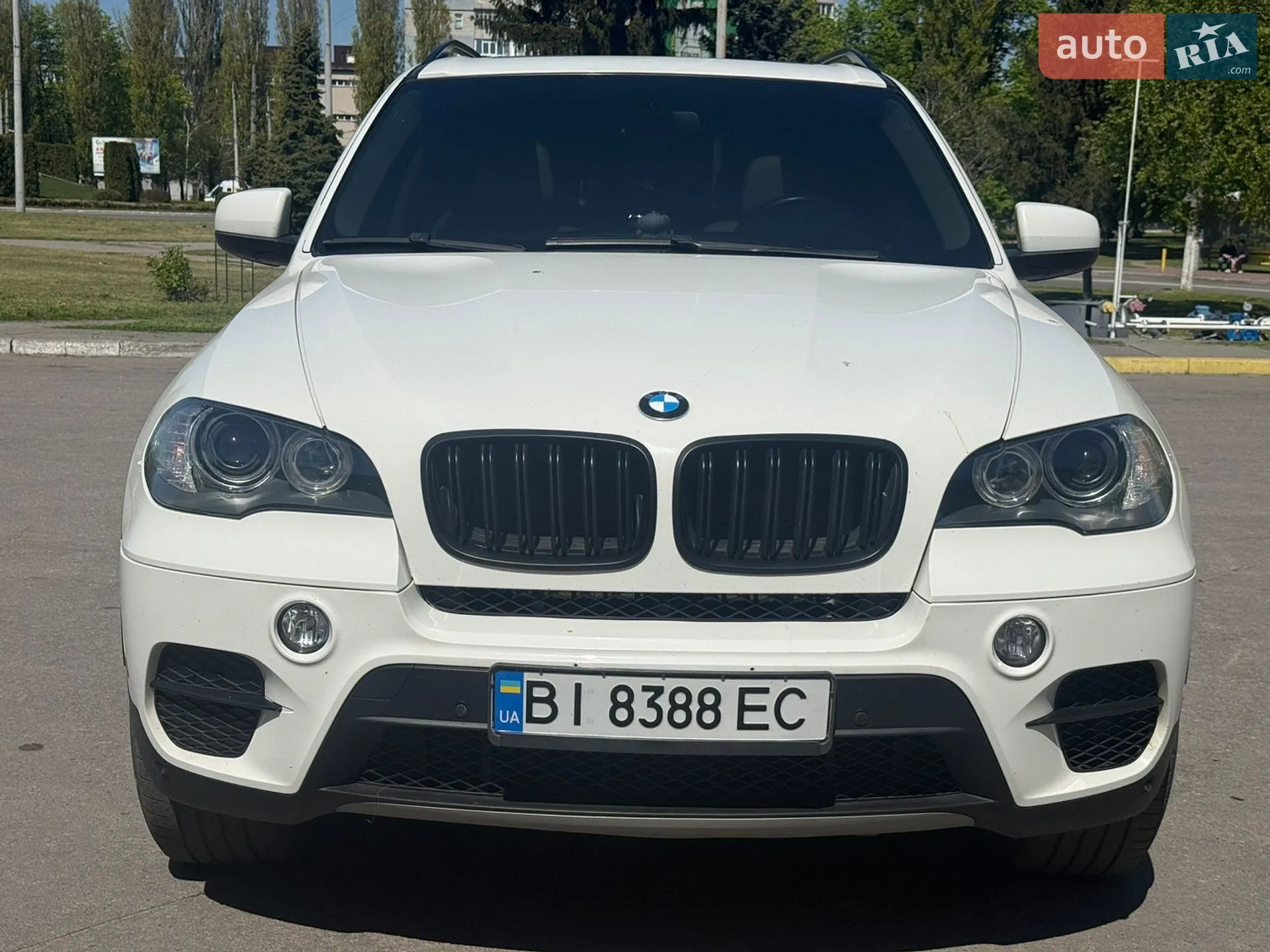 2010 BMW X5 - мініатюра 2