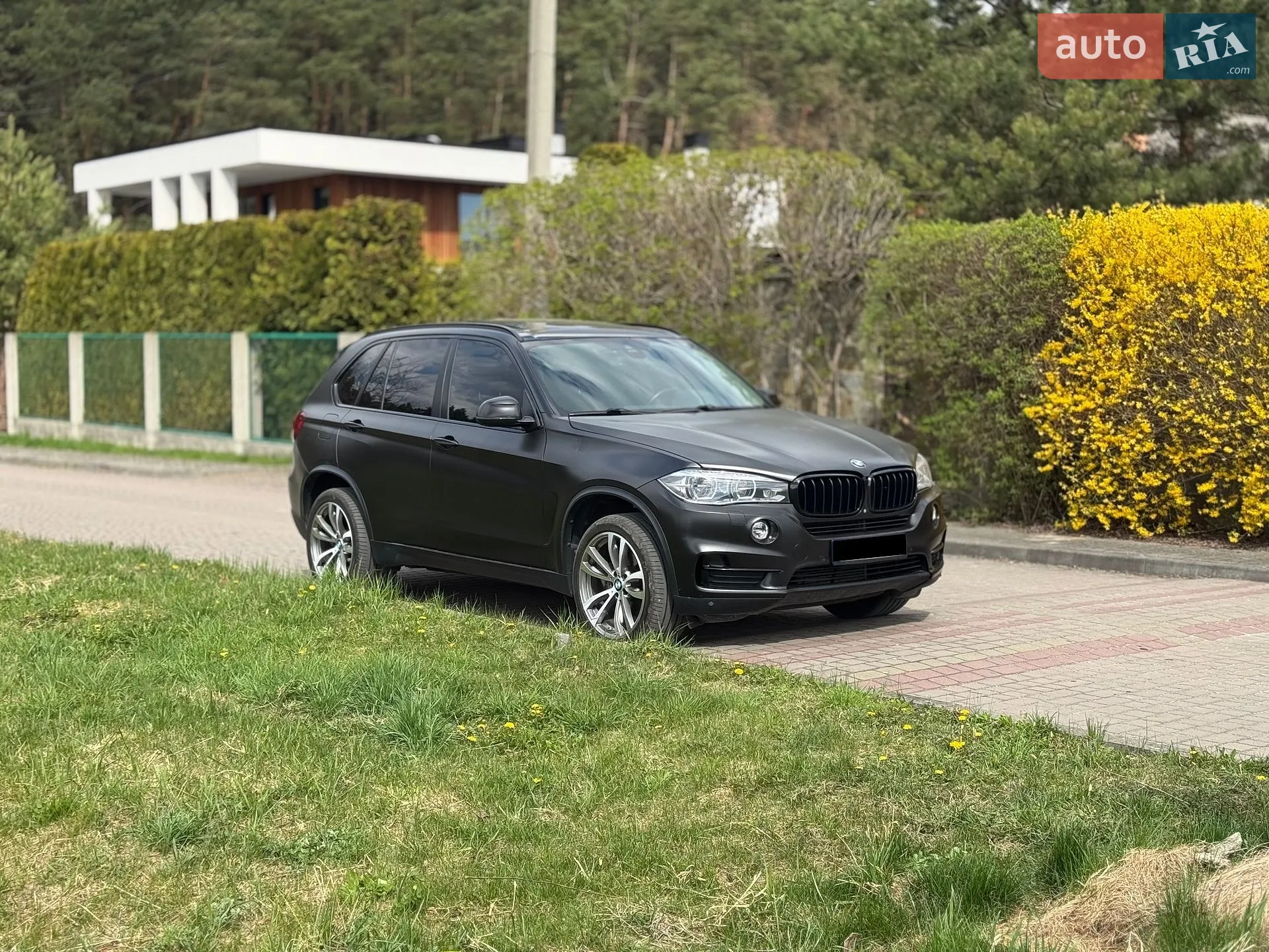 2014 BMW X5 - мініатюра 2