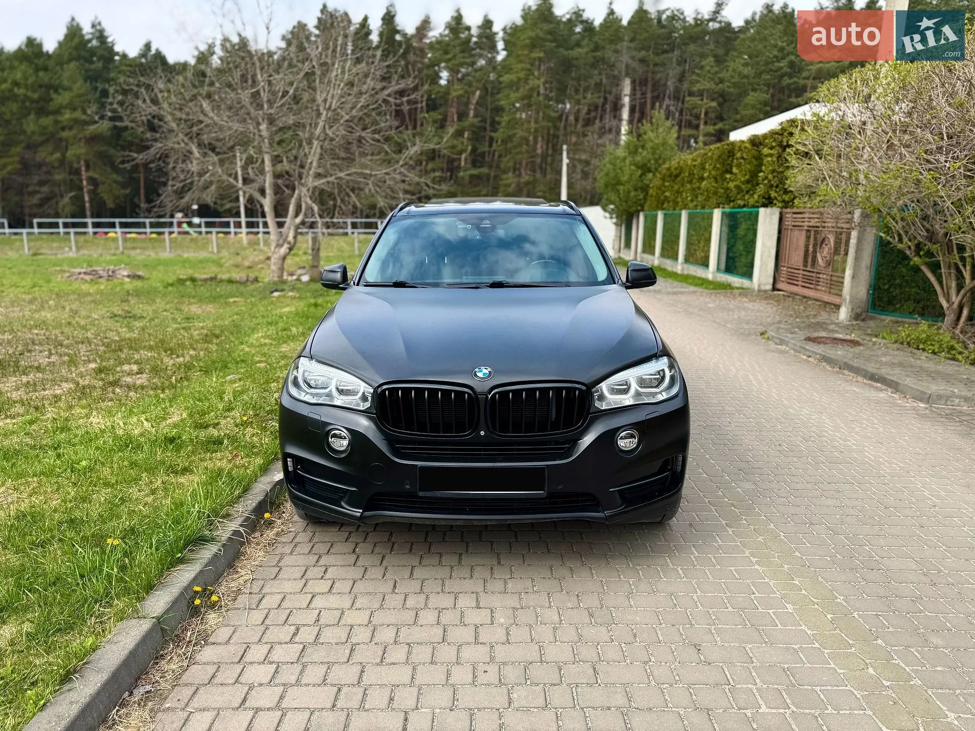 2014 BMW X5 - мініатюра 2