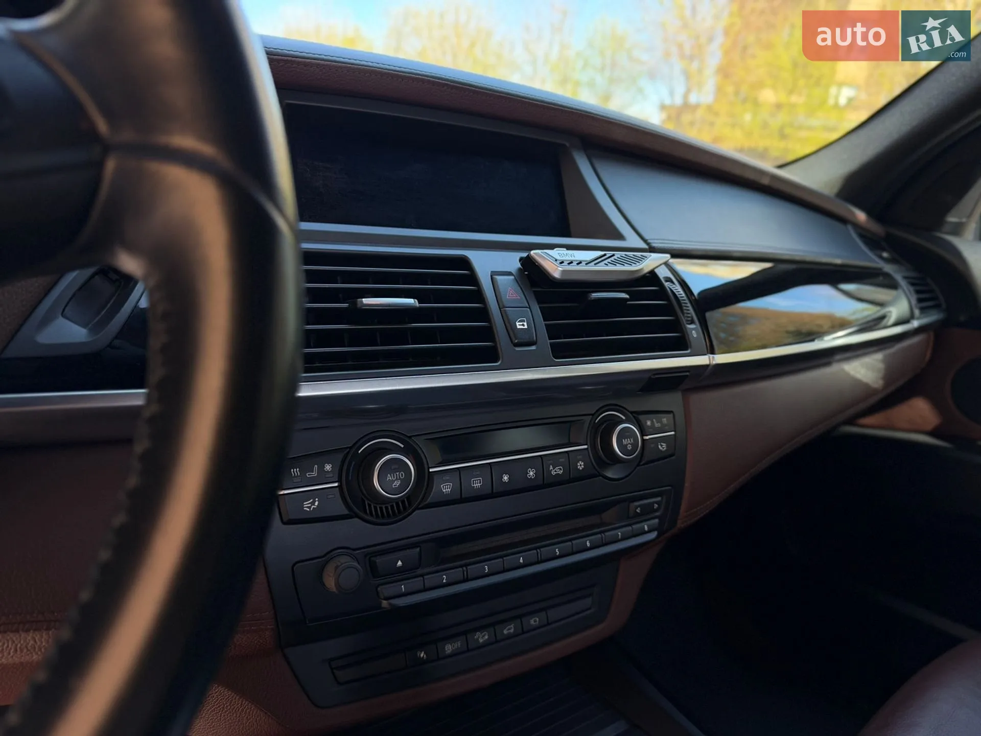 2010 BMW X5 - мініатюра 22