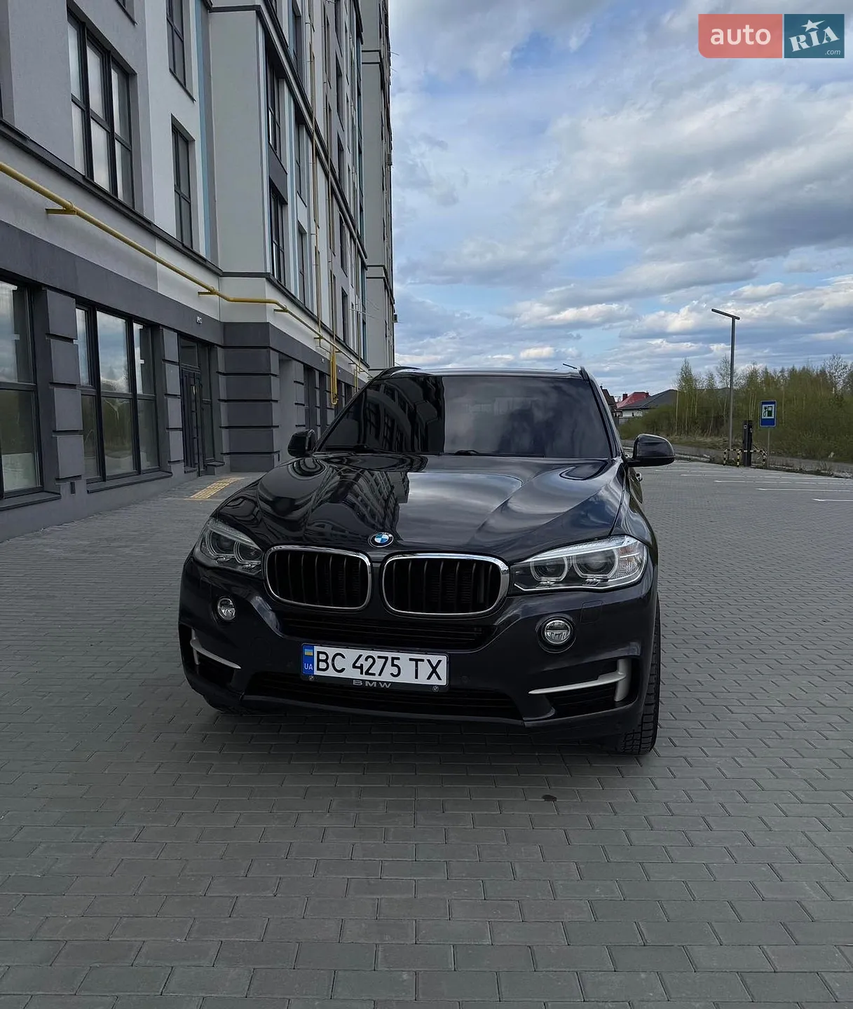 2014 BMW X5 - мініатюра 2