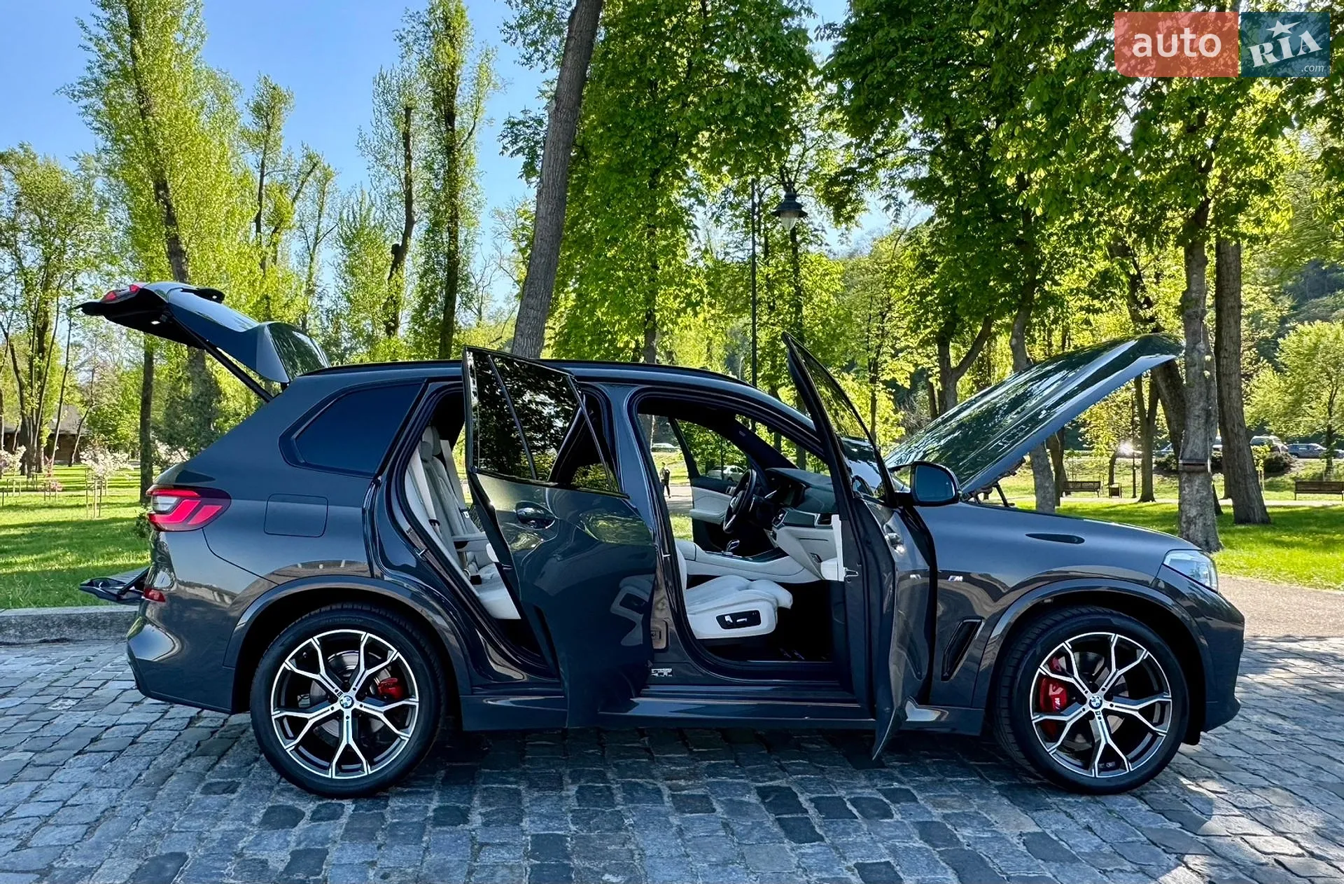 2022 BMW X5 - мініатюра 177