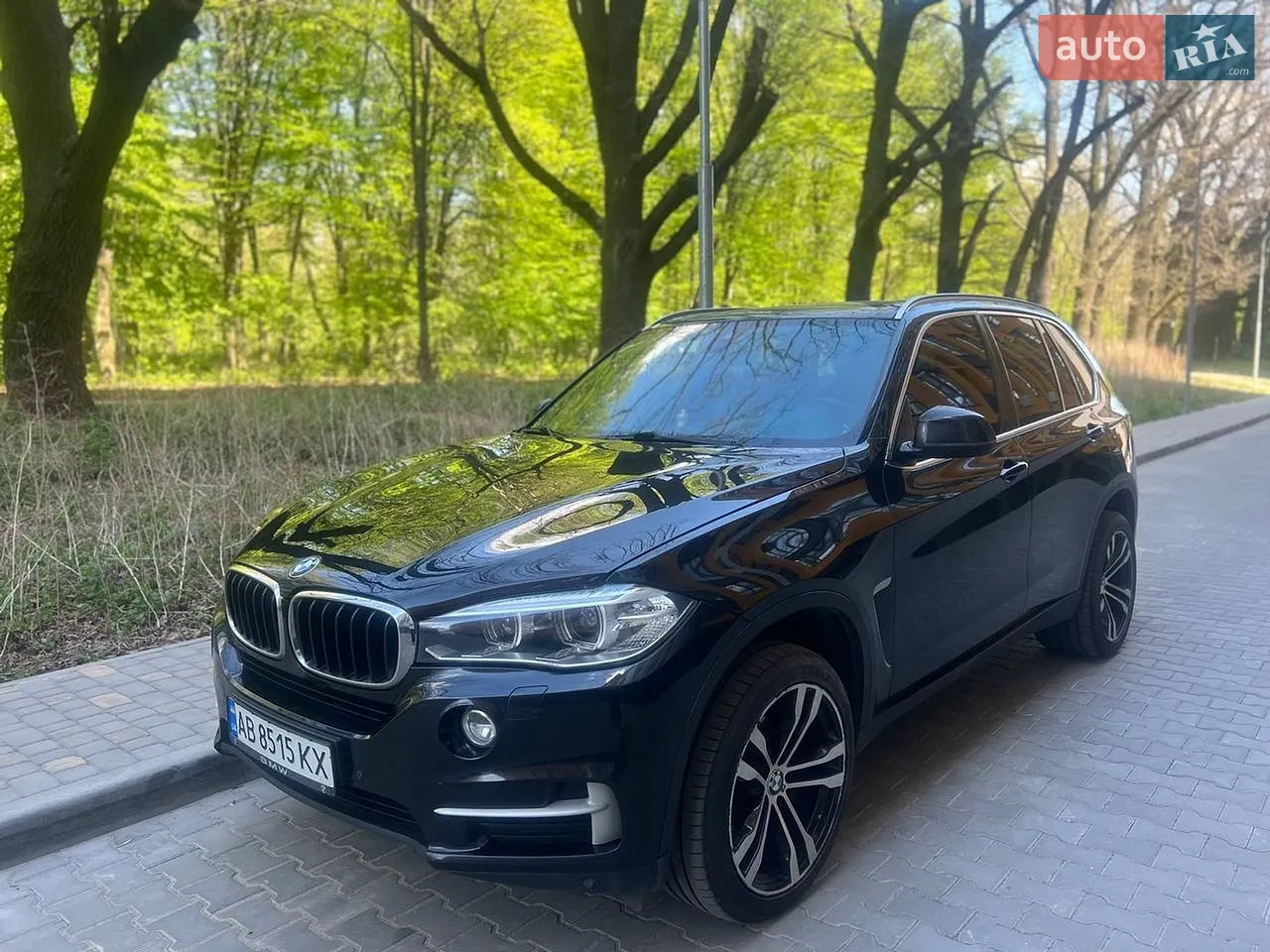 2012 BMW X5 - мініатюра 22
