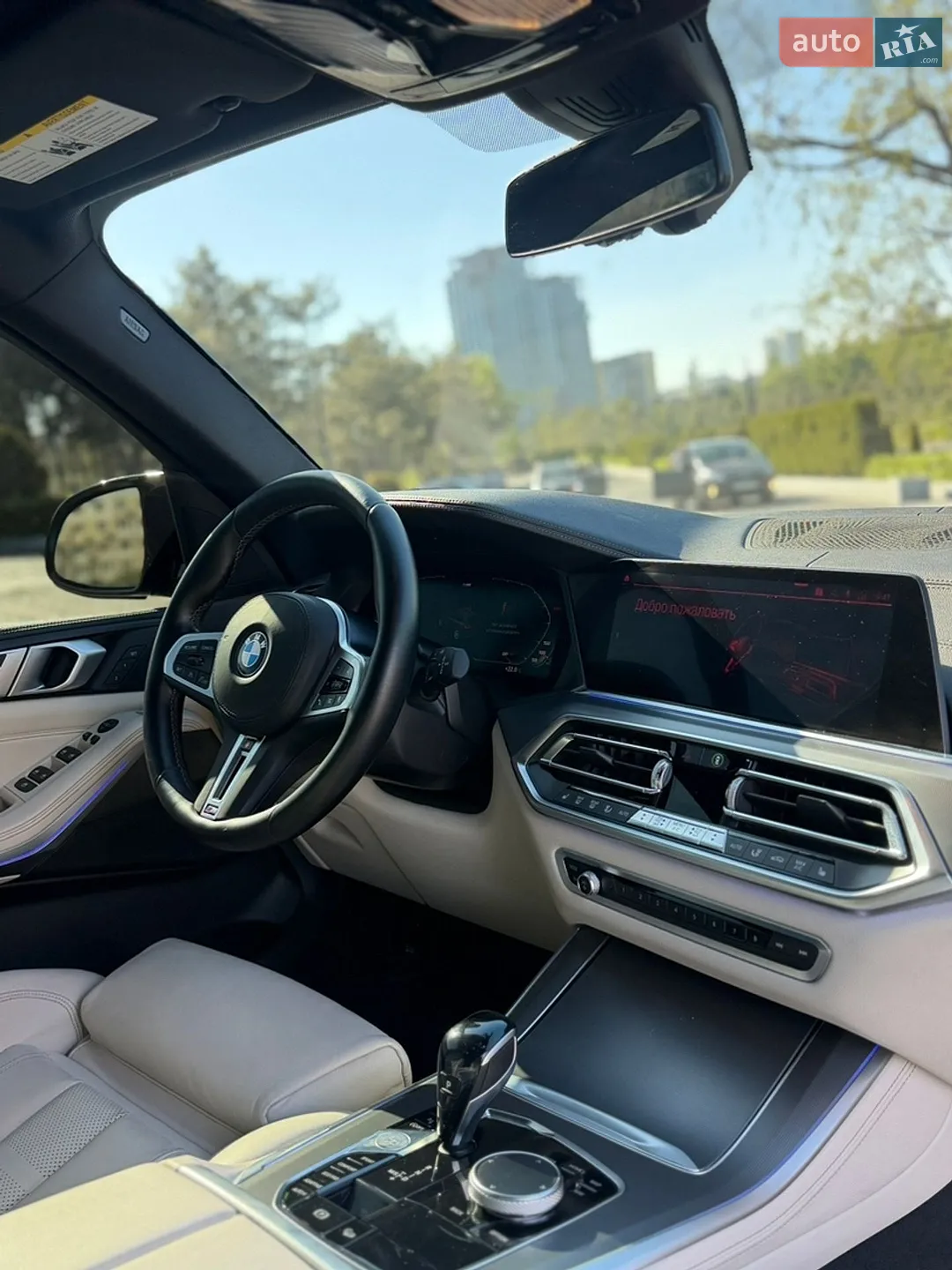 2019 BMW X5 - мініатюра 20