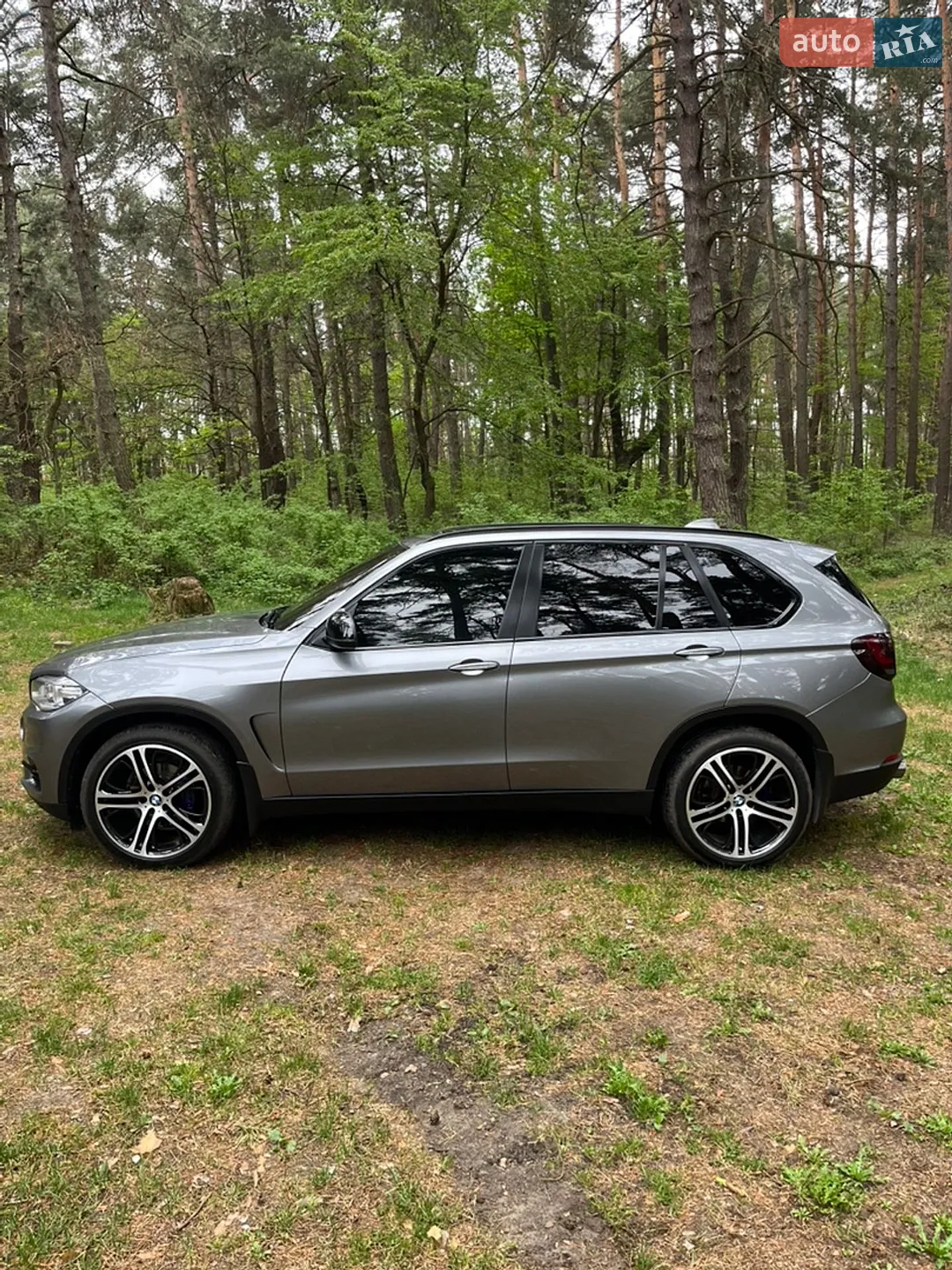 2014 BMW X5 - мініатюра 4