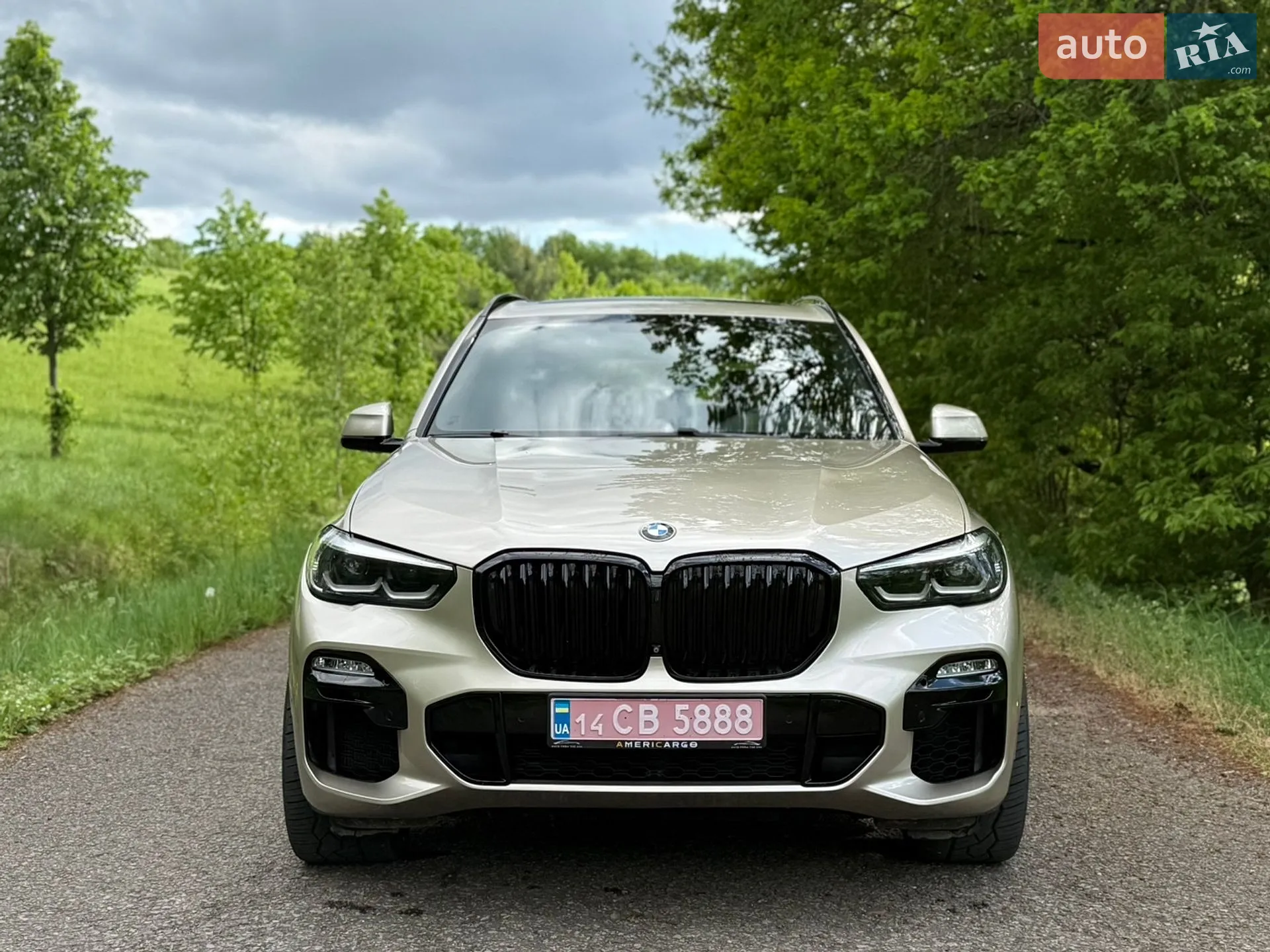 2019 BMW X5 - мініатюра 2