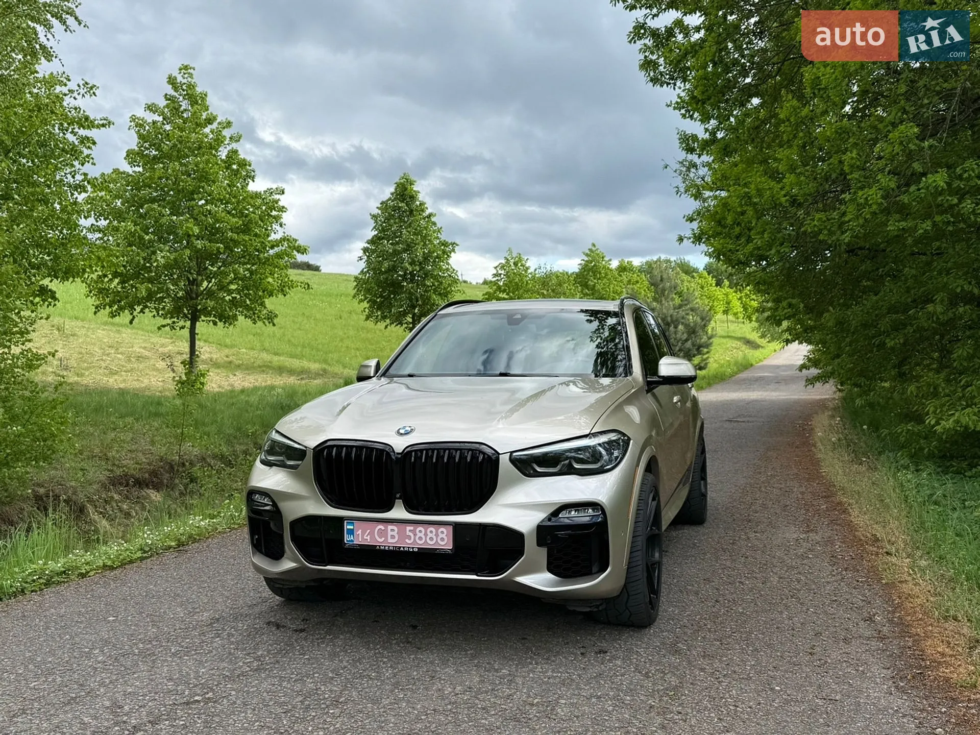 2019 BMW X5 - мініатюра 3