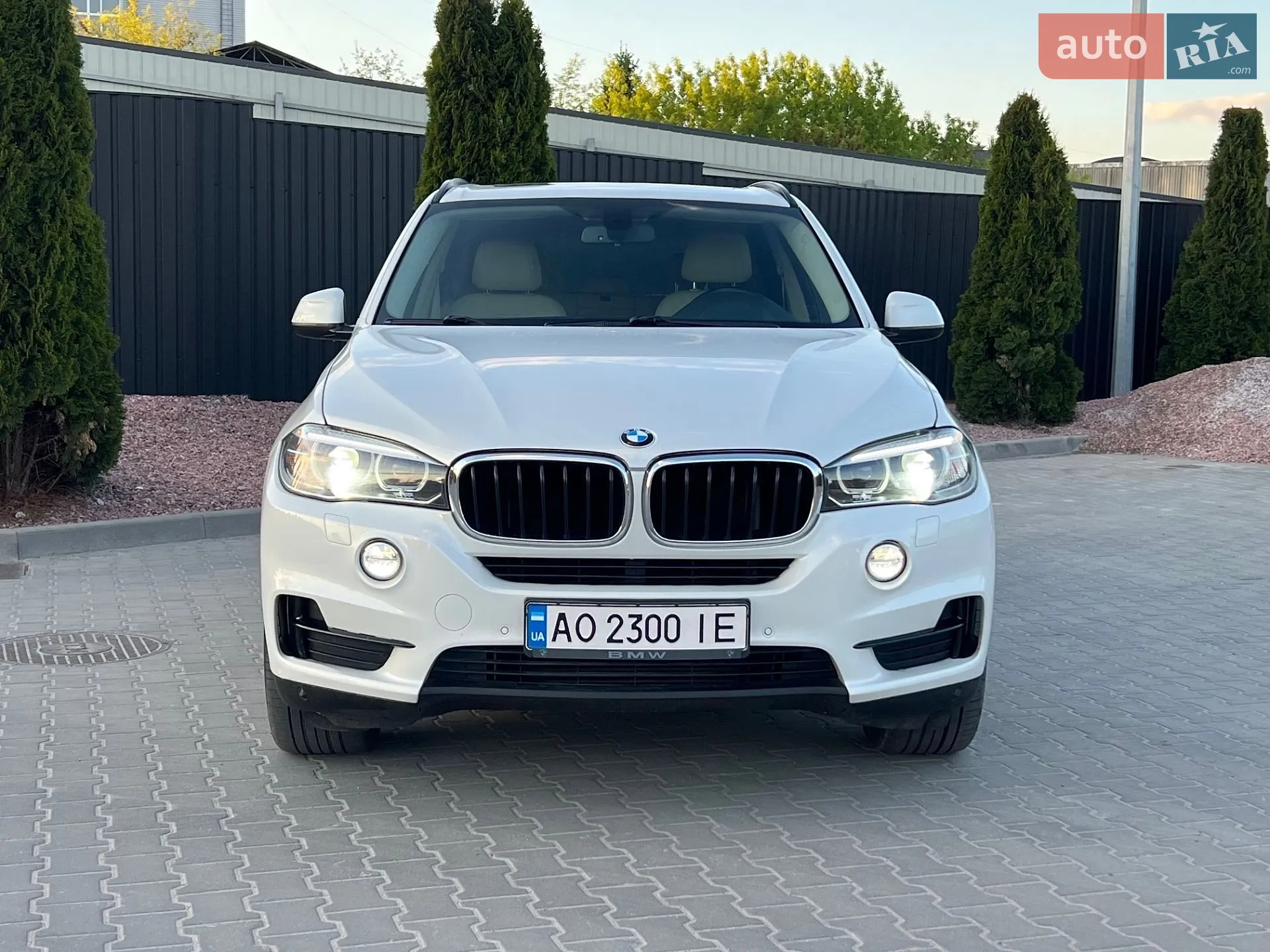 2014 BMW X5 - мініатюра 10
