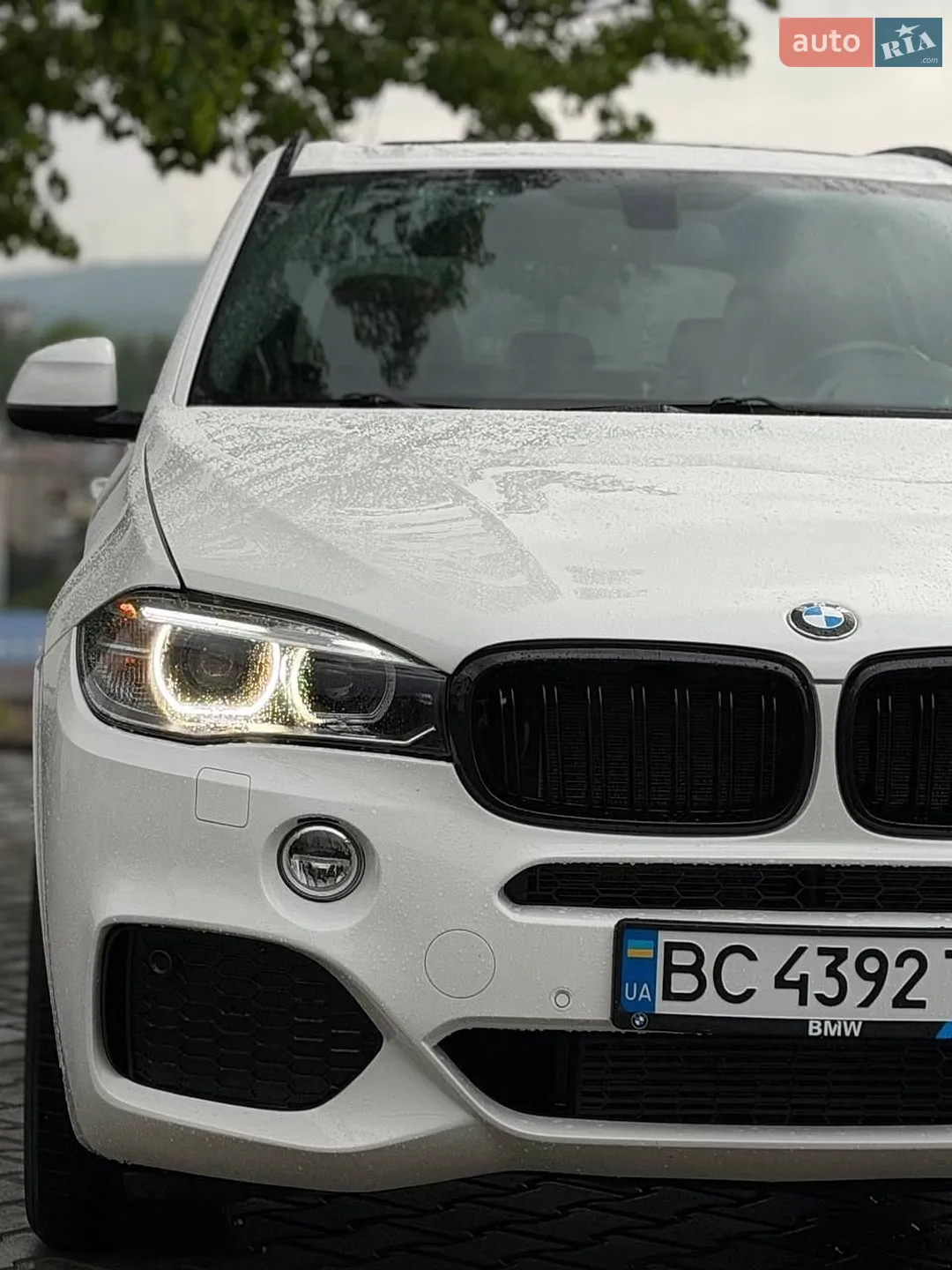 2015 BMW X5 - мініатюра 15