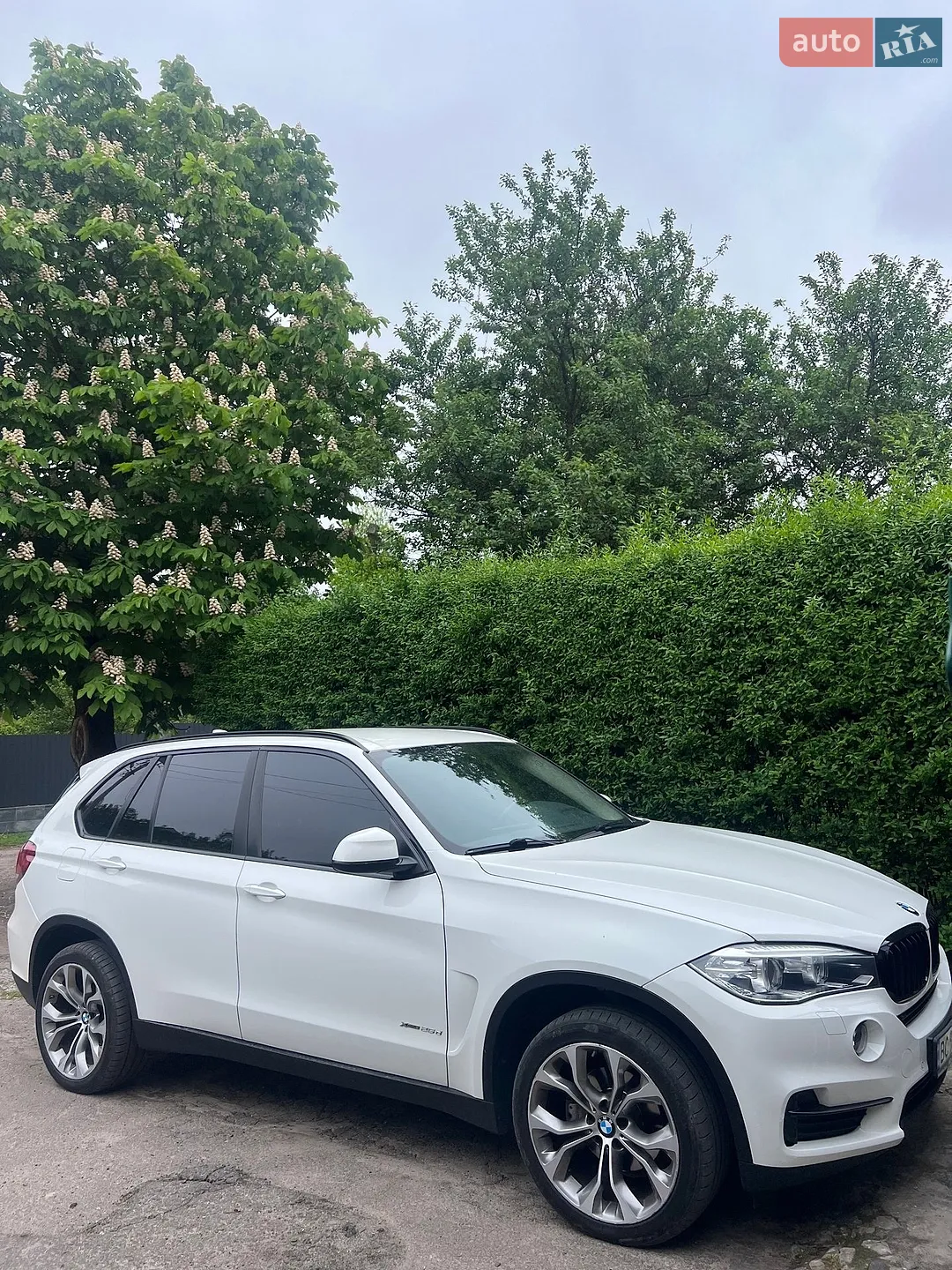 2018 BMW X5 - мініатюра 3