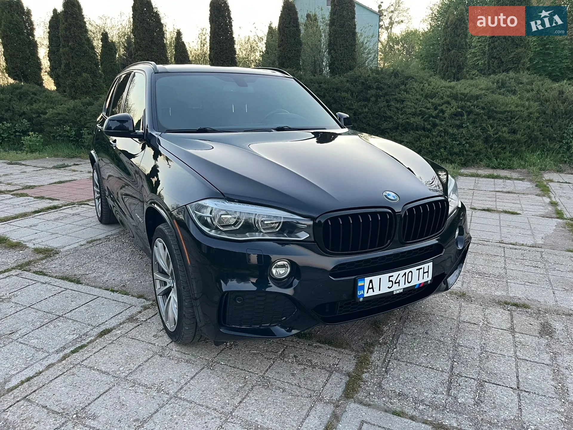 2016 BMW X5 - мініатюра 2