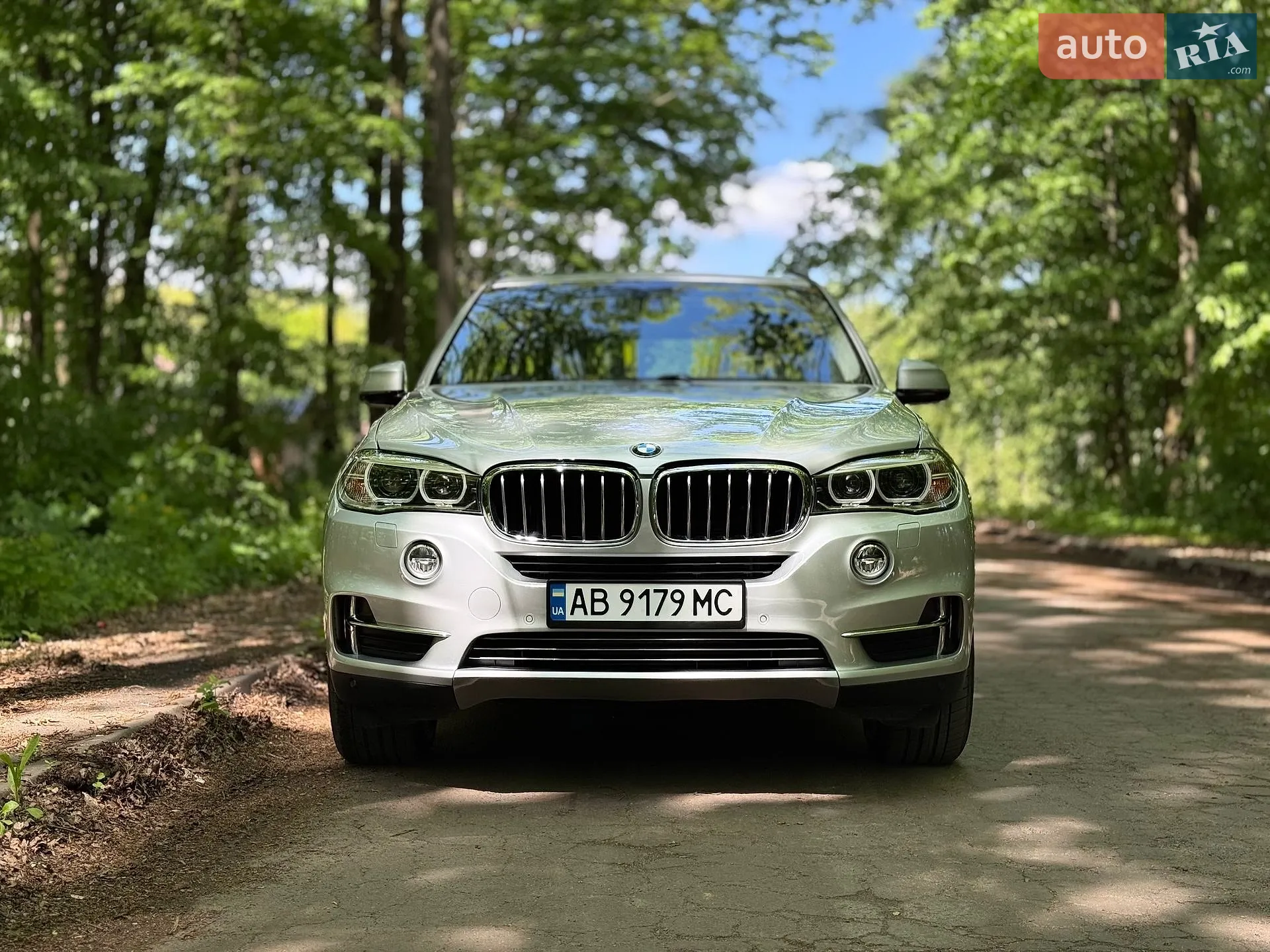 2014 BMW X5 - мініатюра 3