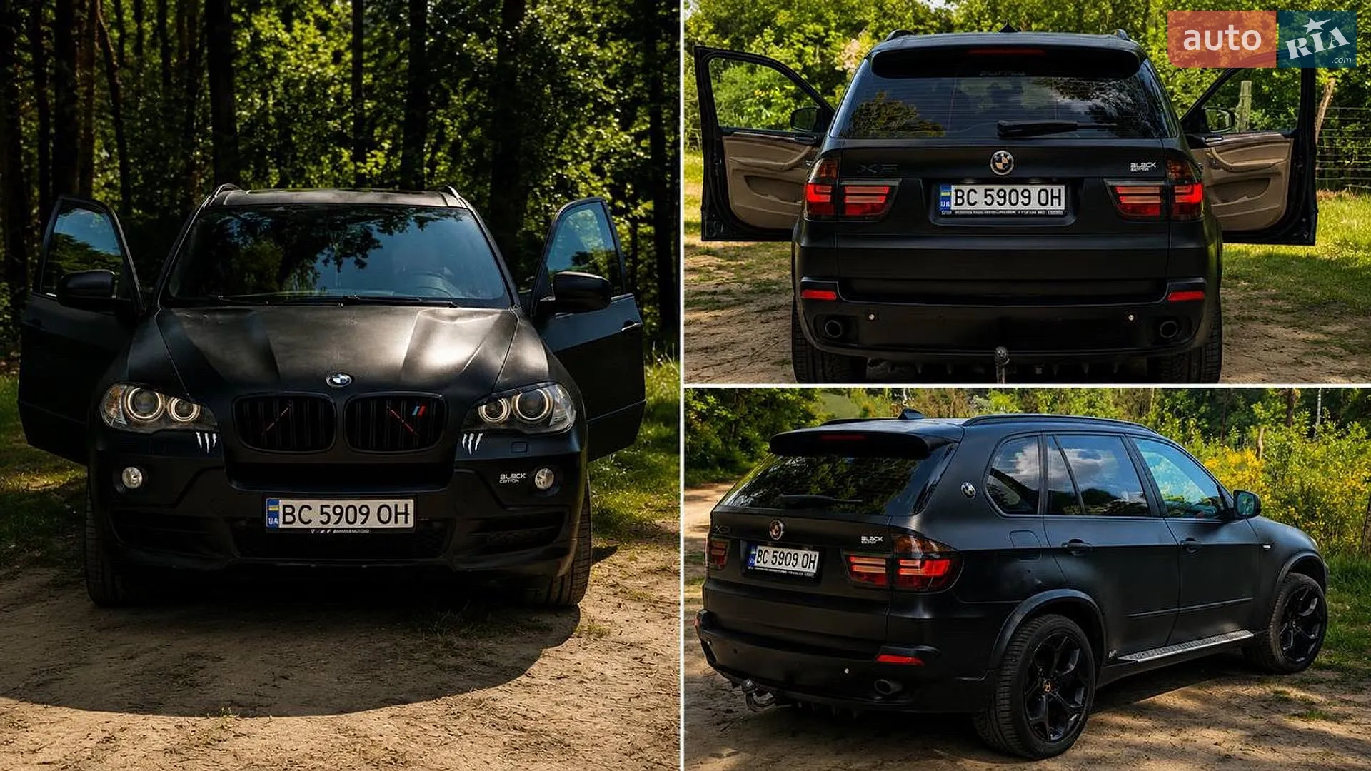 2010 BMW X5 - мініатюра 5