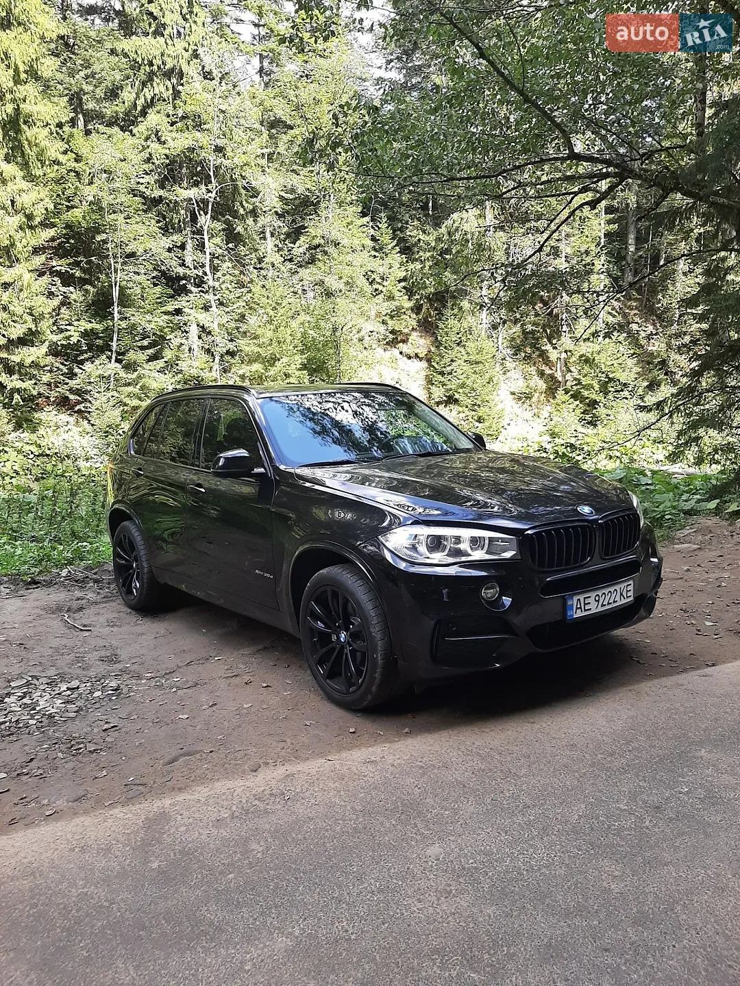 2015 BMW X5 - мініатюра 7