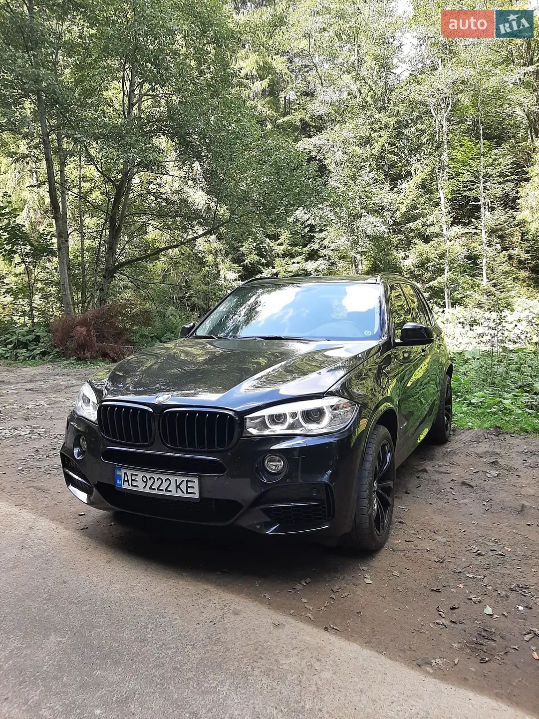 2015 BMW X5 - мініатюра 4