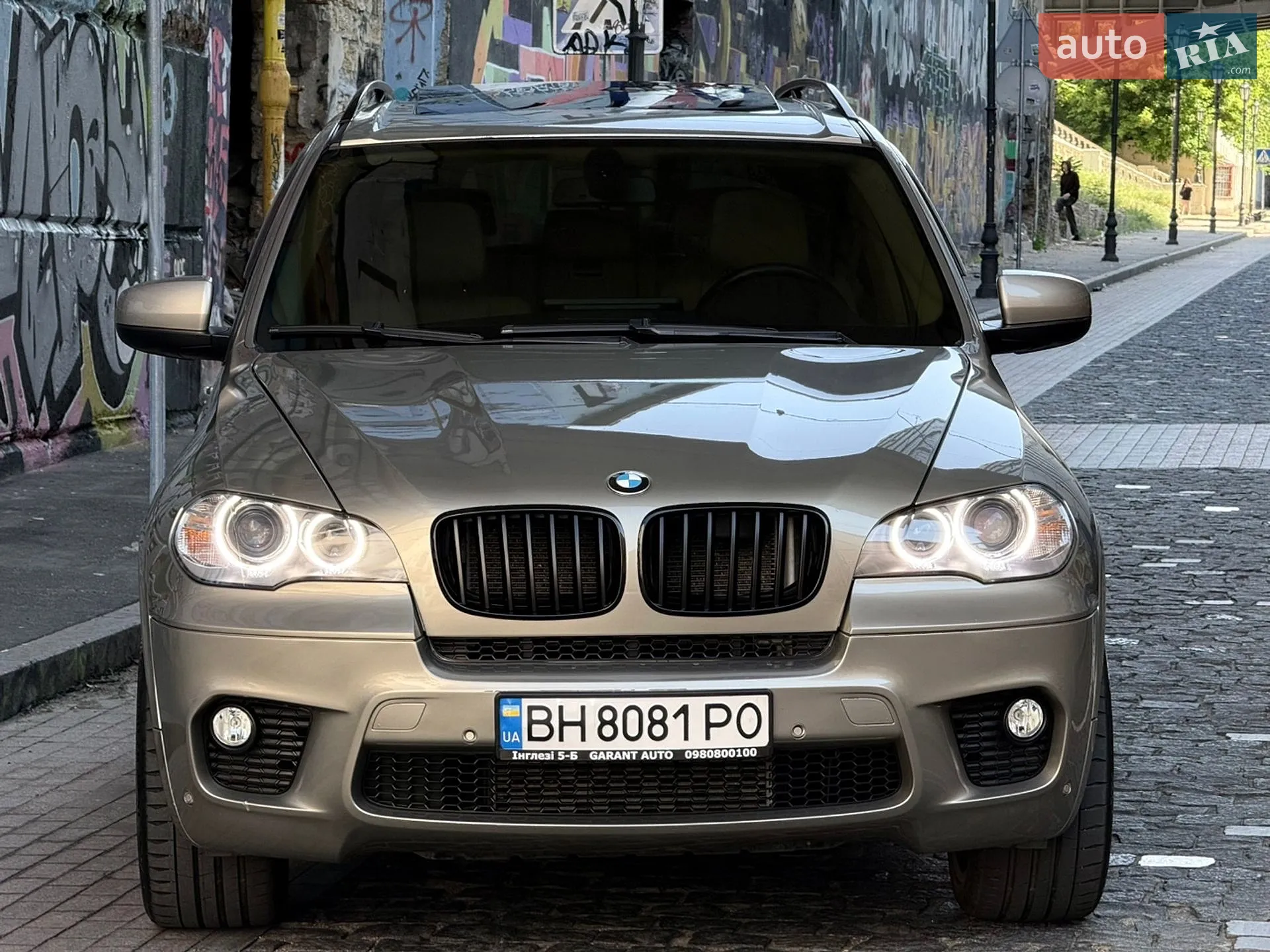 2010 BMW X5 - мініатюра 3