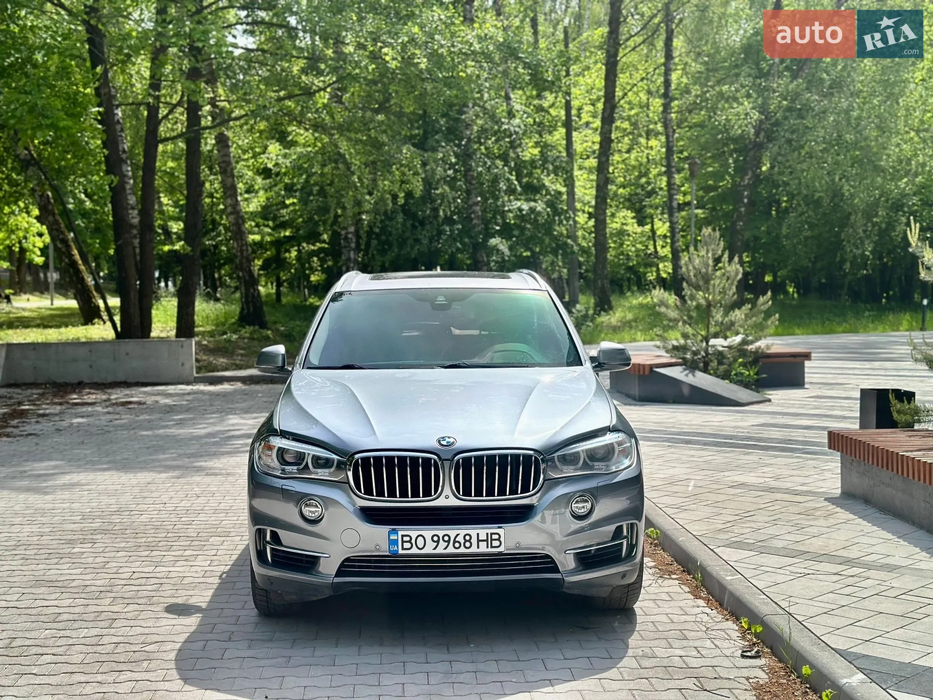 2013 BMW X5 - мініатюра 2