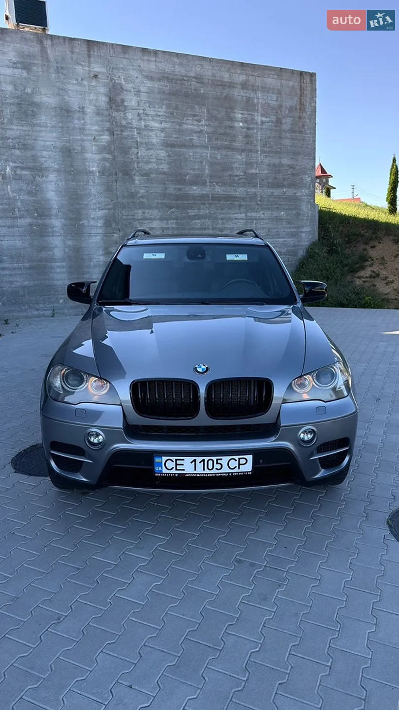 2010 BMW X5 - мініатюра 2