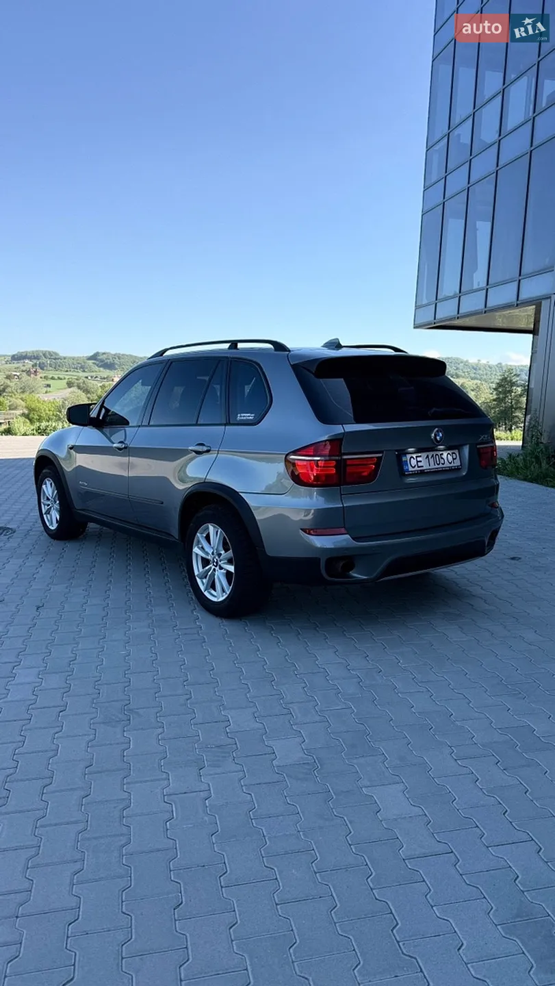 2010 BMW X5 - мініатюра 6