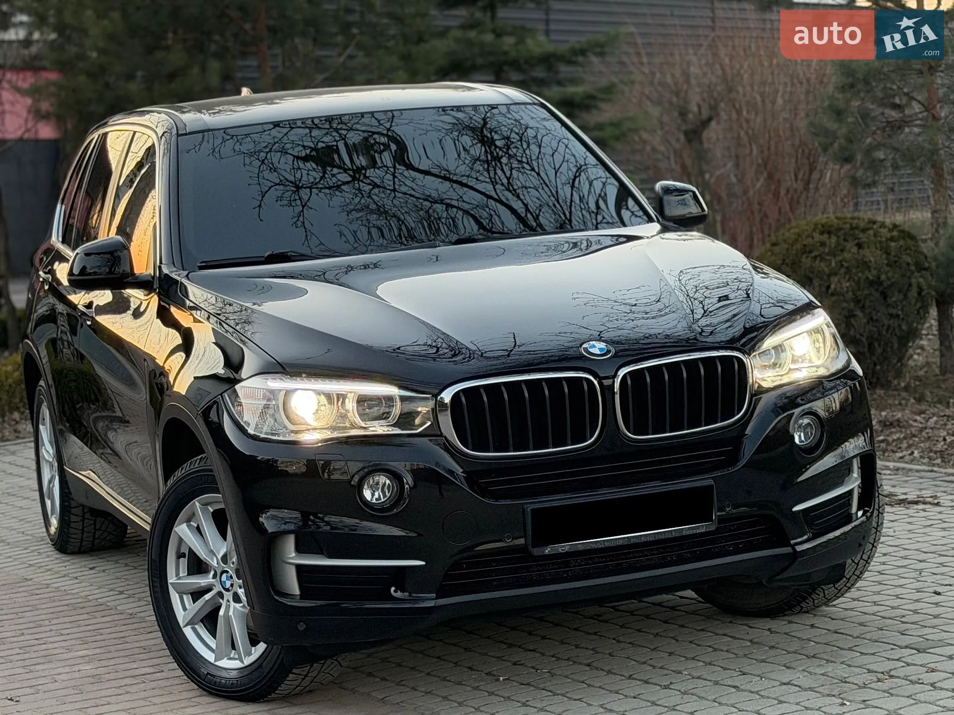 2017 BMW X5 - мініатюра 3
