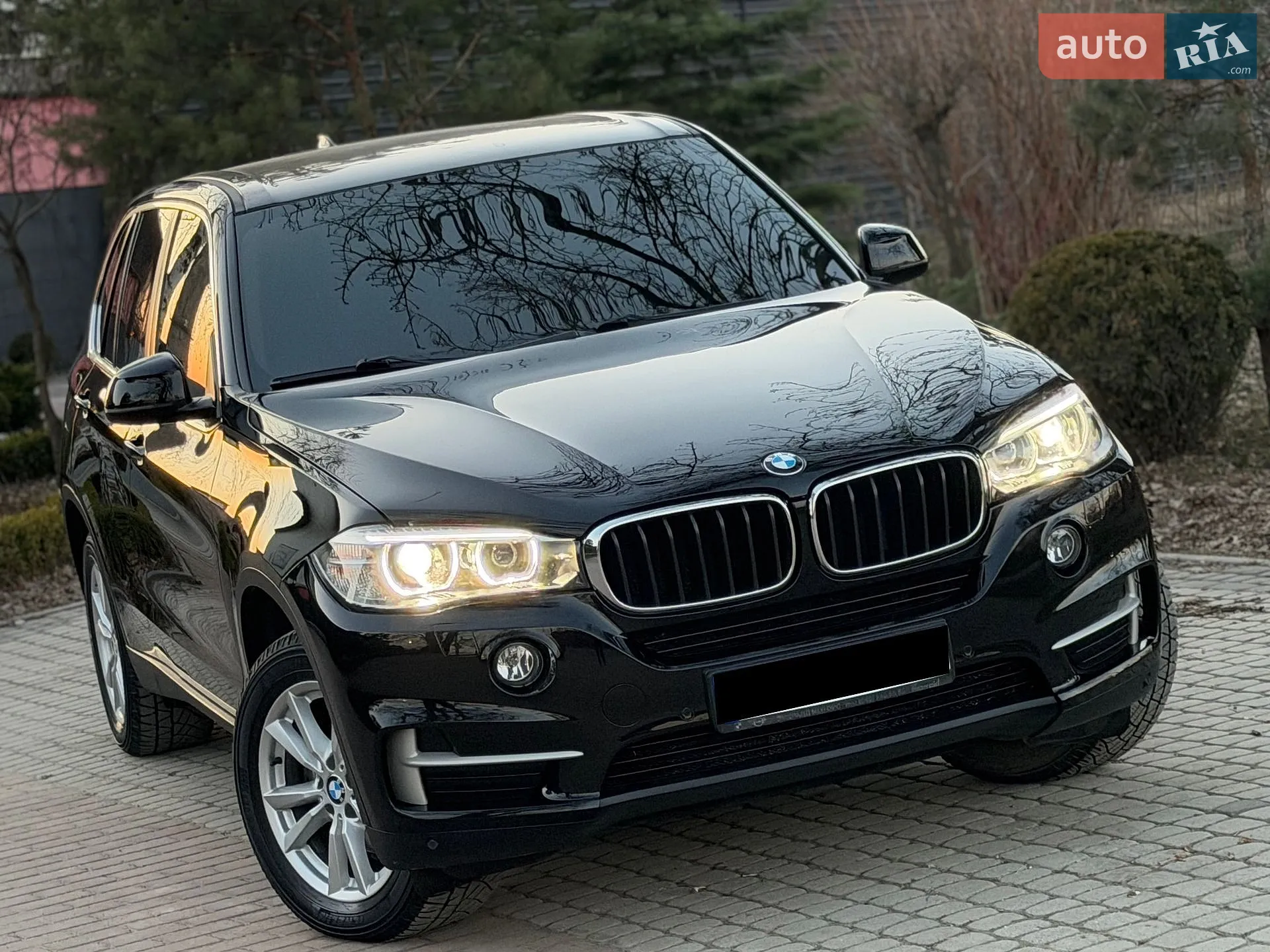 2017 BMW X5 - мініатюра 2