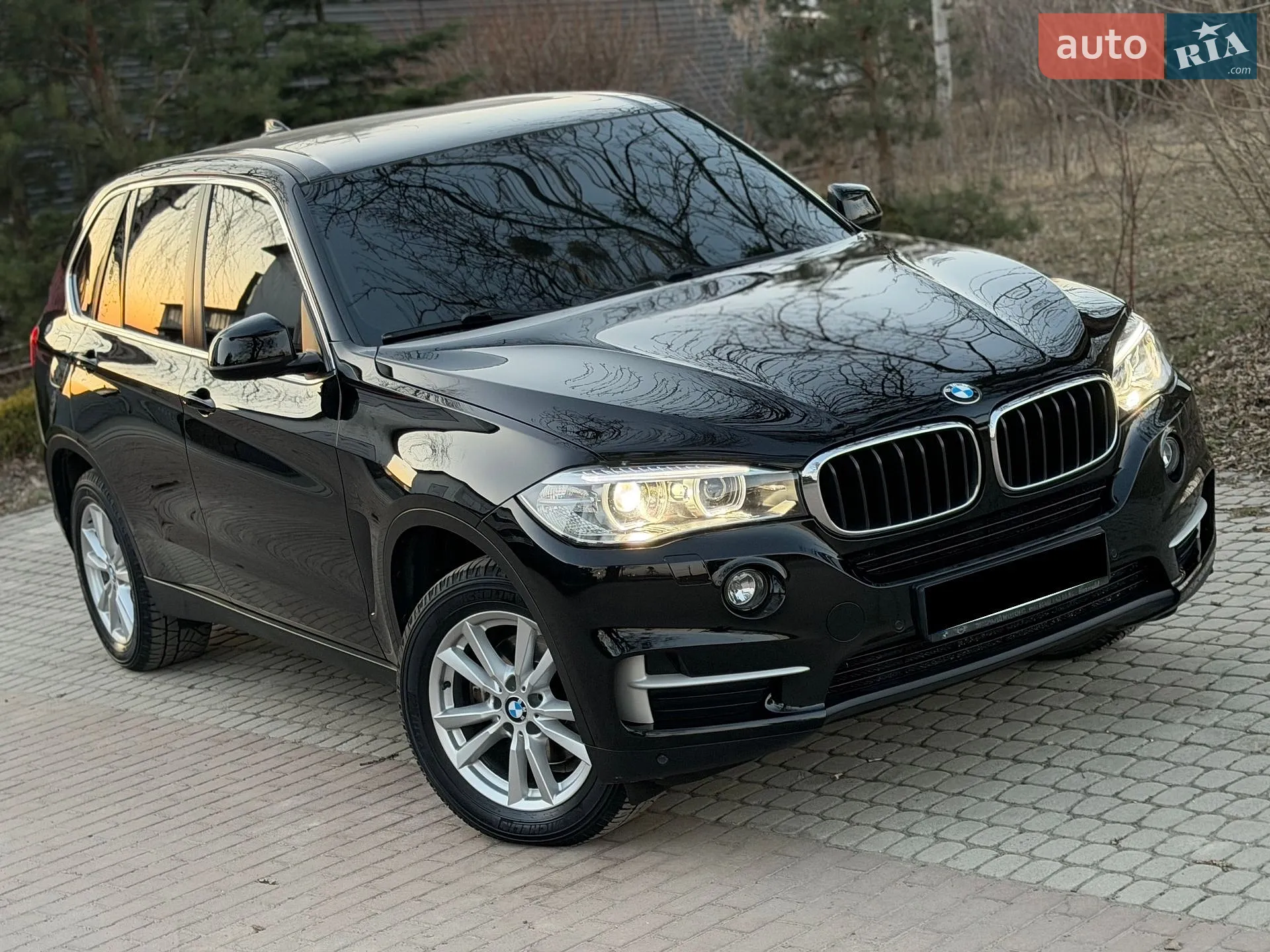 2017 BMW X5 - мініатюра 5