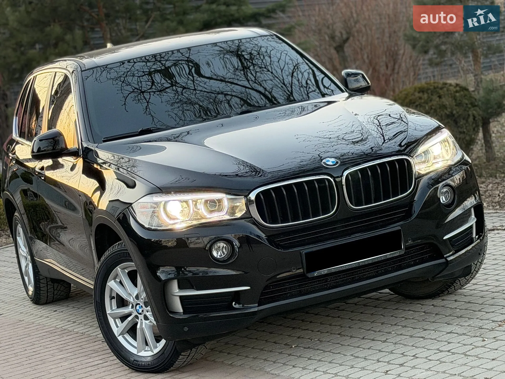 2017 BMW X5 - мініатюра 4