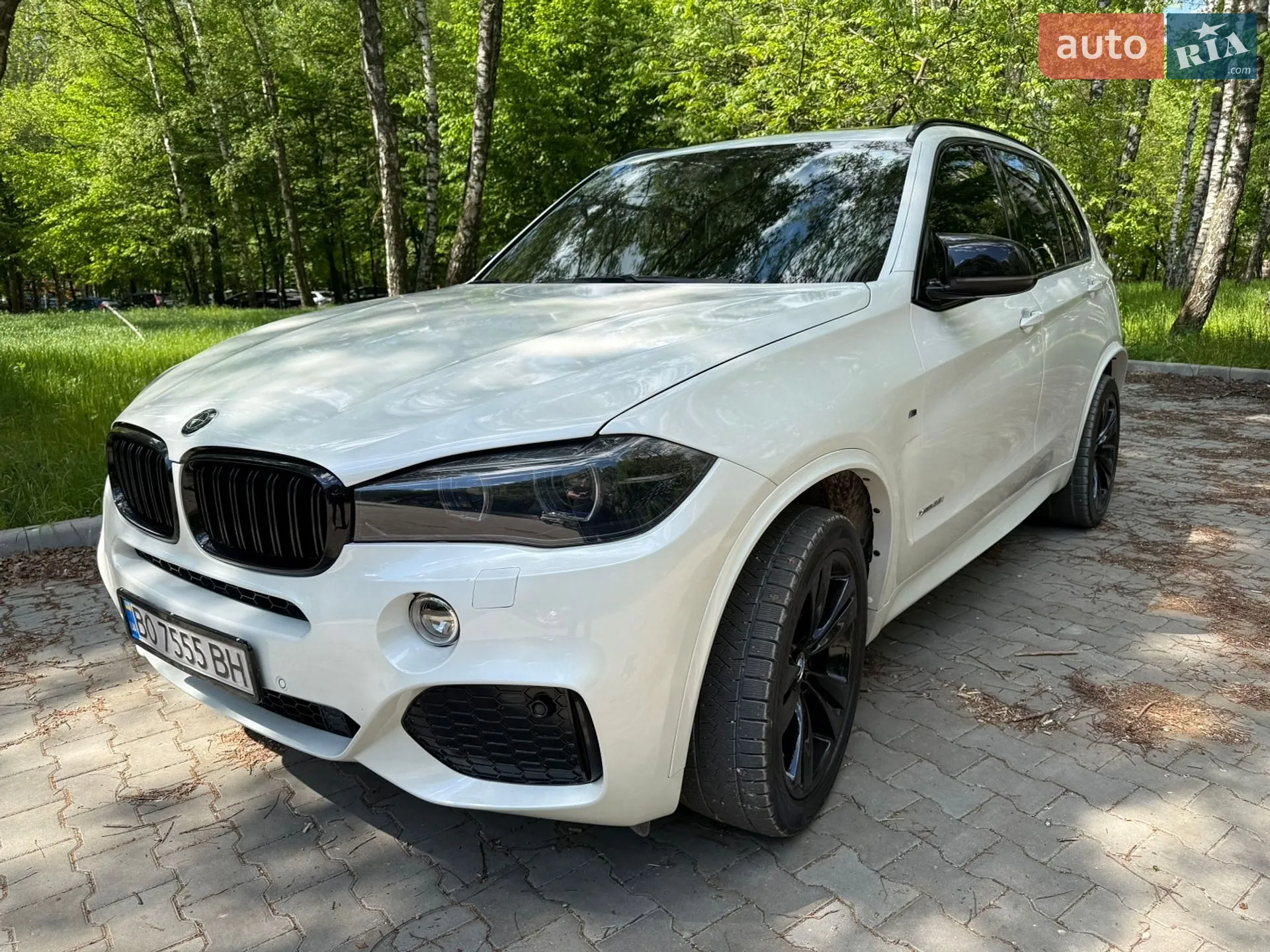 2013 BMW X5 - фото 1