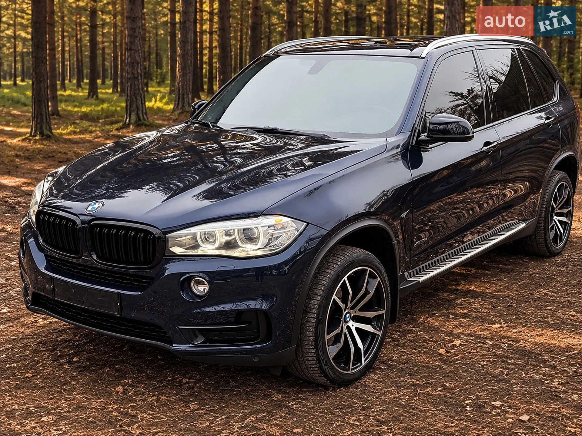 2014 BMW X5 - мініатюра 2
