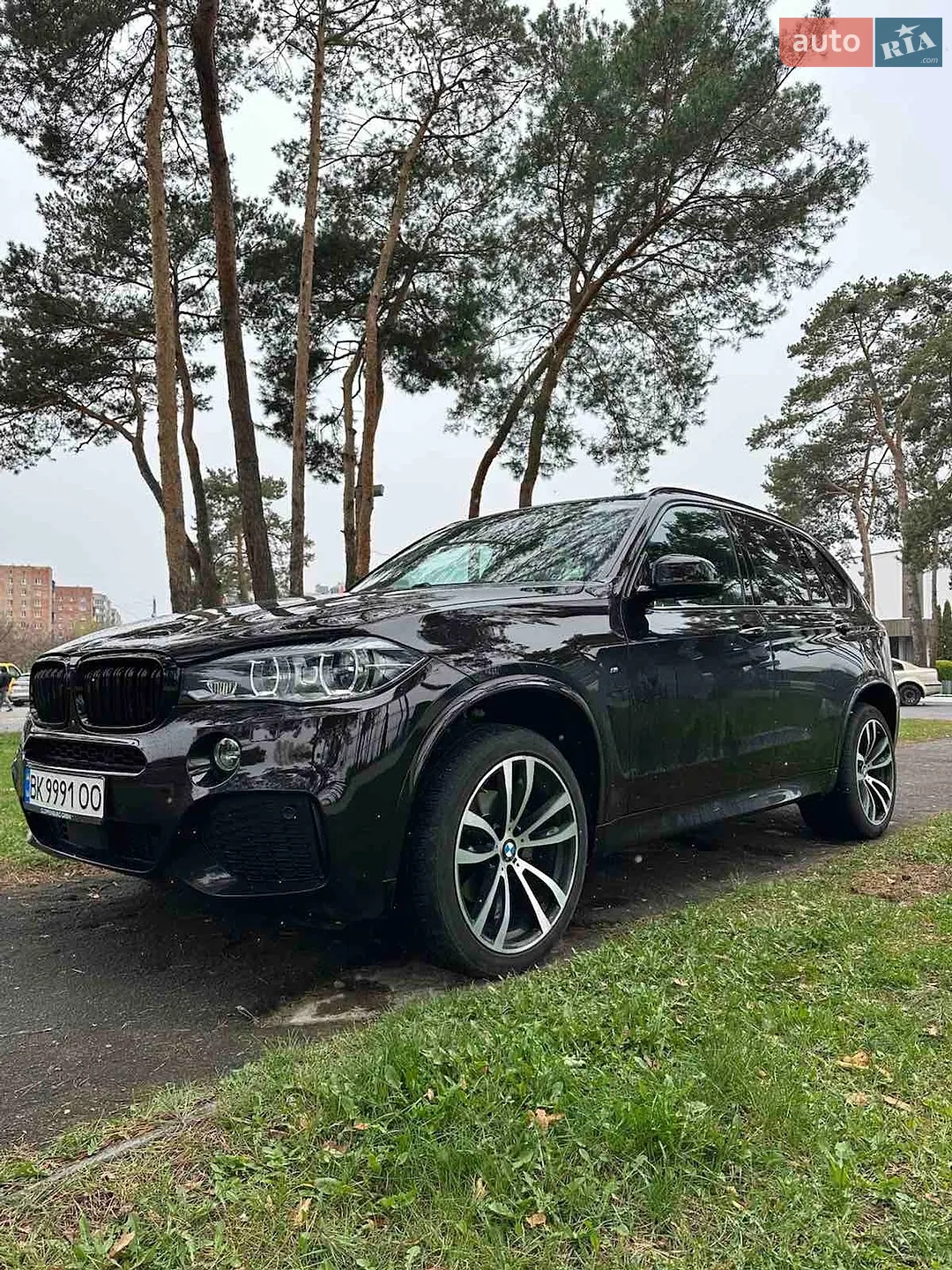 2015 BMW X5 - мініатюра 3