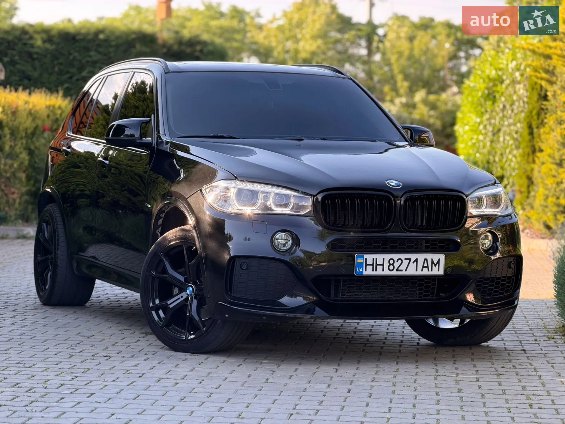 2014 BMW X5 - мініатюра 2