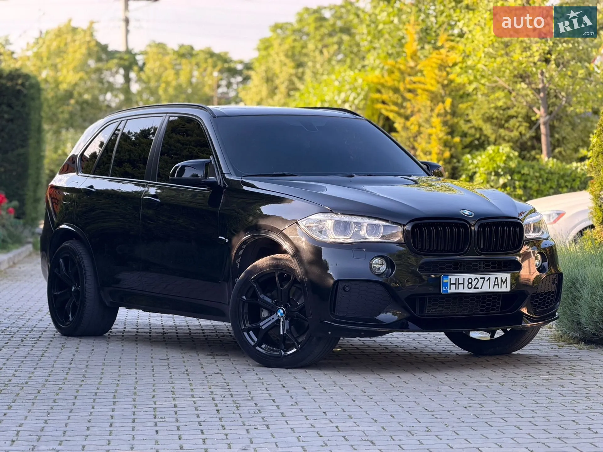 2014 BMW X5 - мініатюра 6