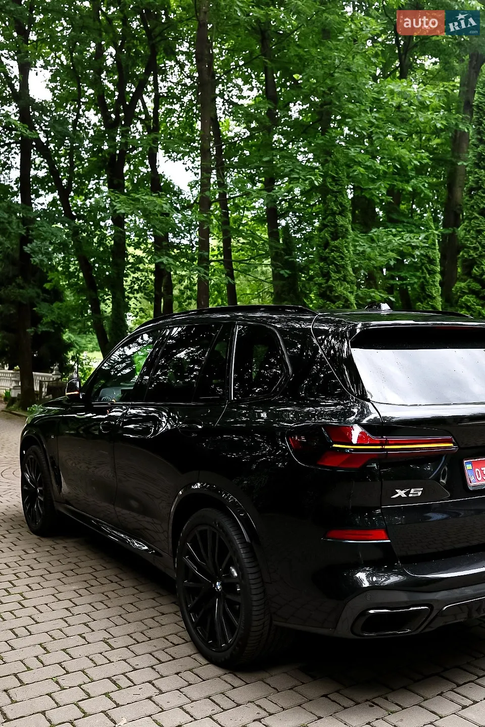 2025 BMW X5 - мініатюра 7