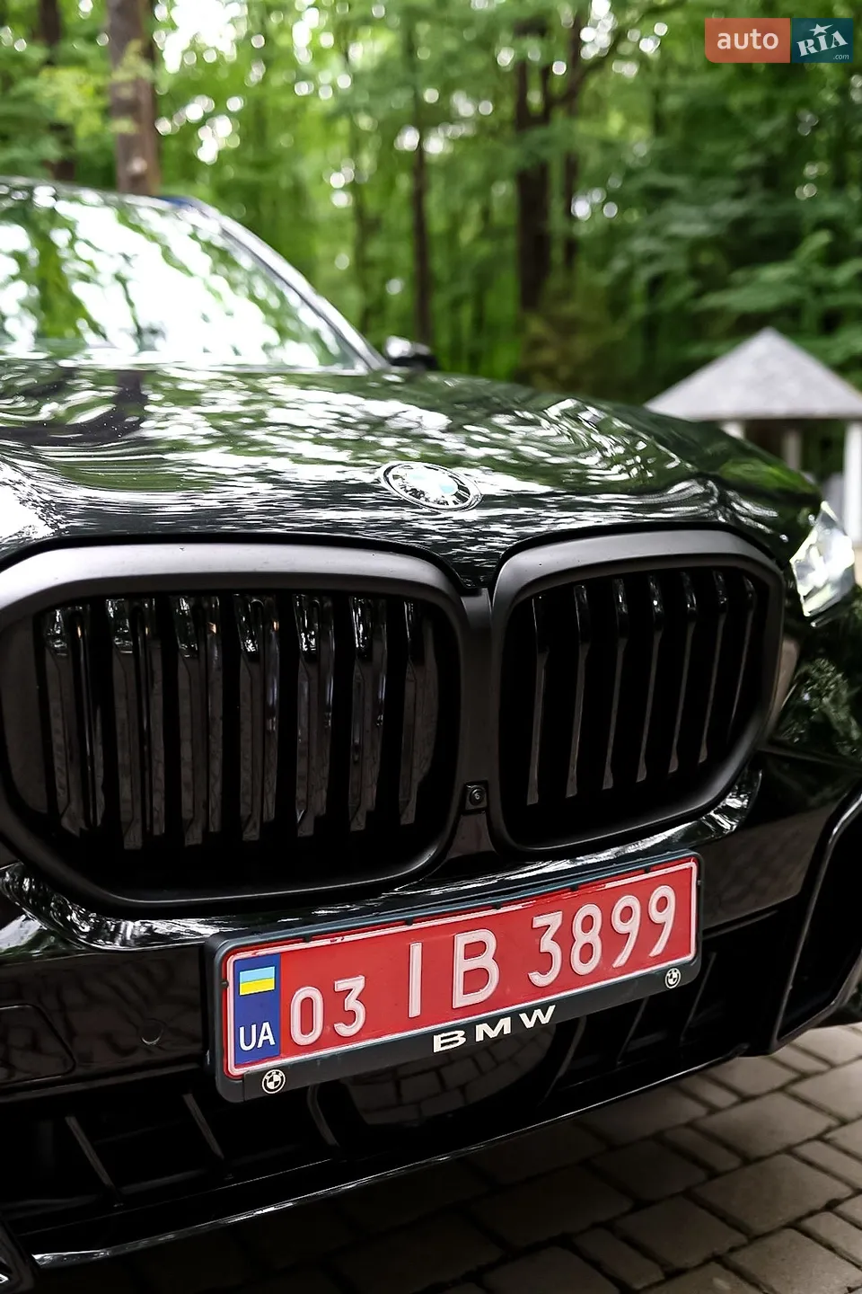 2025 BMW X5 - мініатюра 10