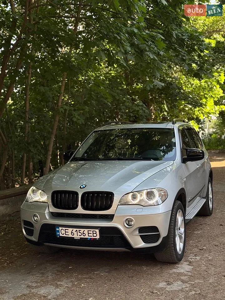 2010 BMW X5 - мініатюра 15