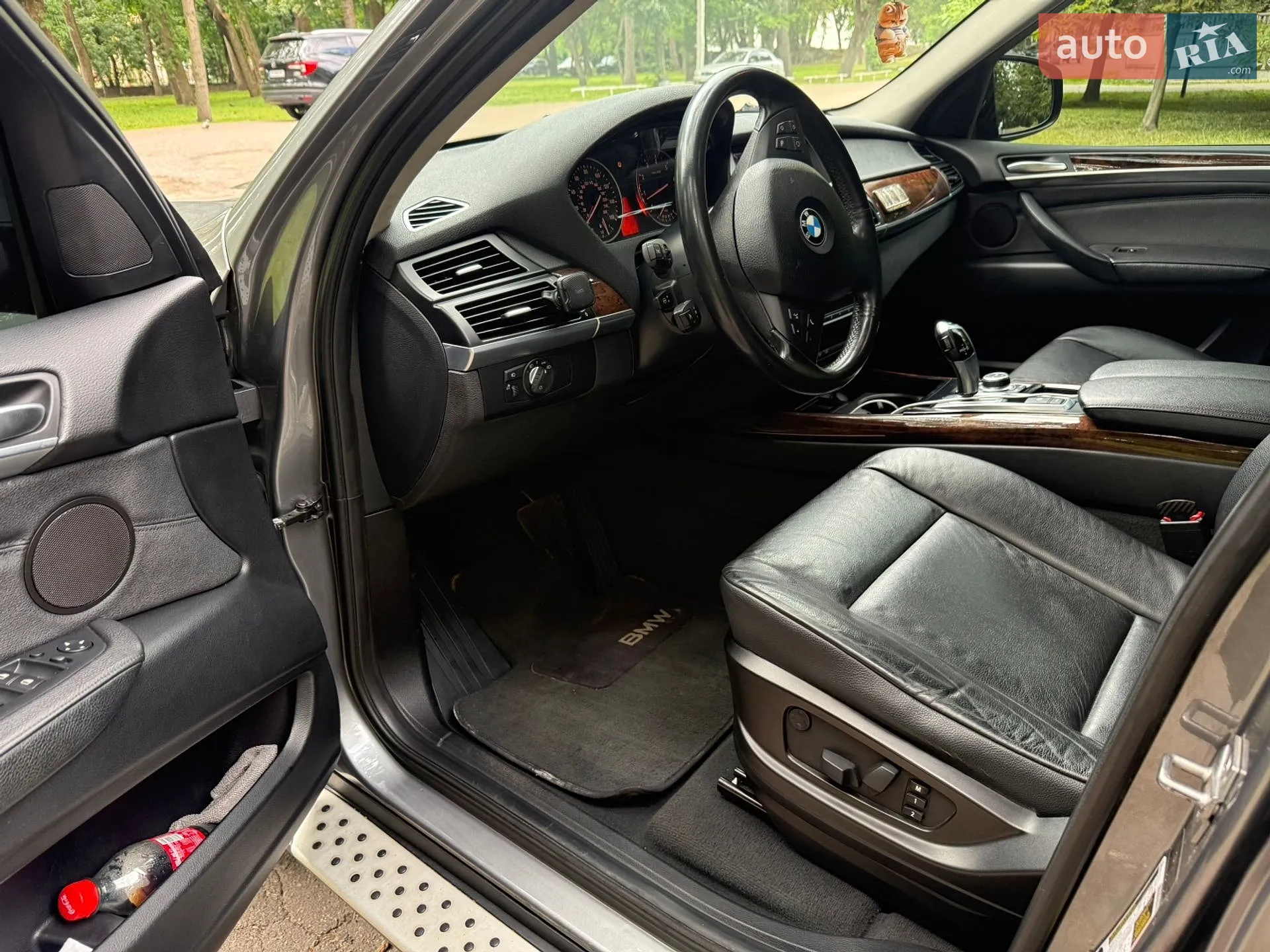 2010 BMW X5 - мініатюра 6