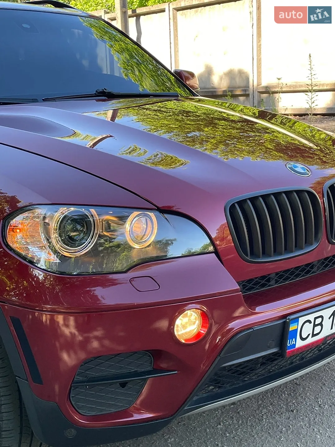 2010 BMW X5 - мініатюра 5