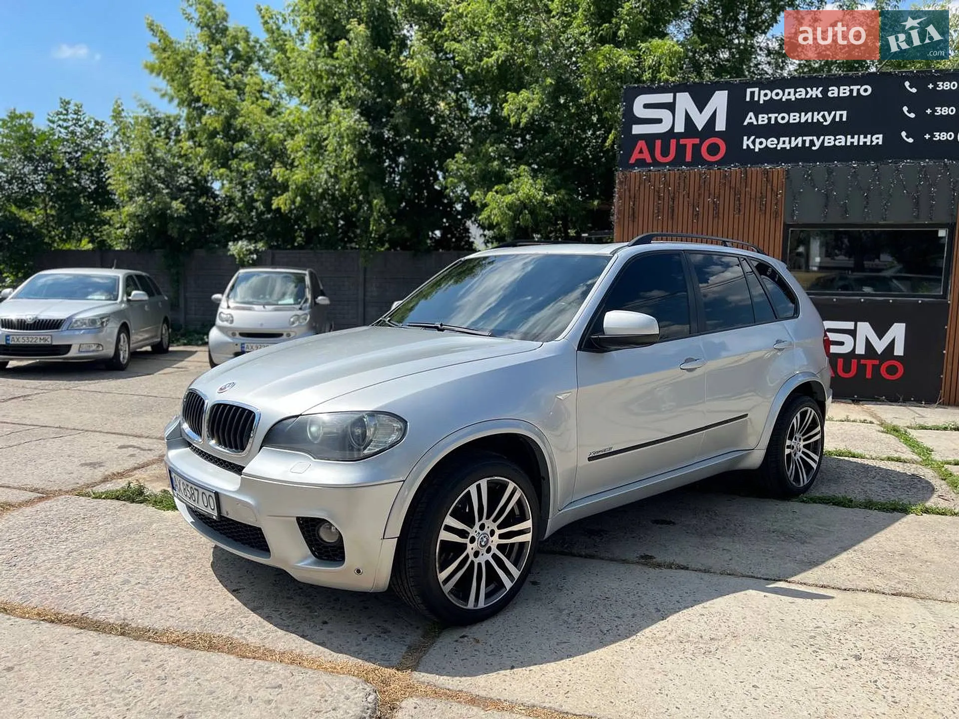 2010 BMW X5 - мініатюра 3