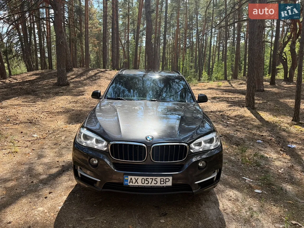 2017 BMW X5 - мініатюра 27