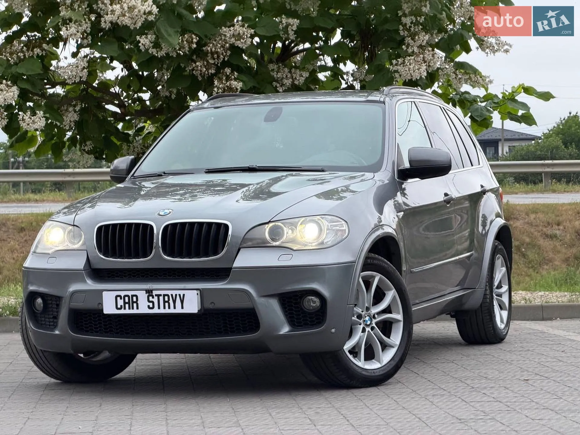 2010 BMW X5 - мініатюра 6