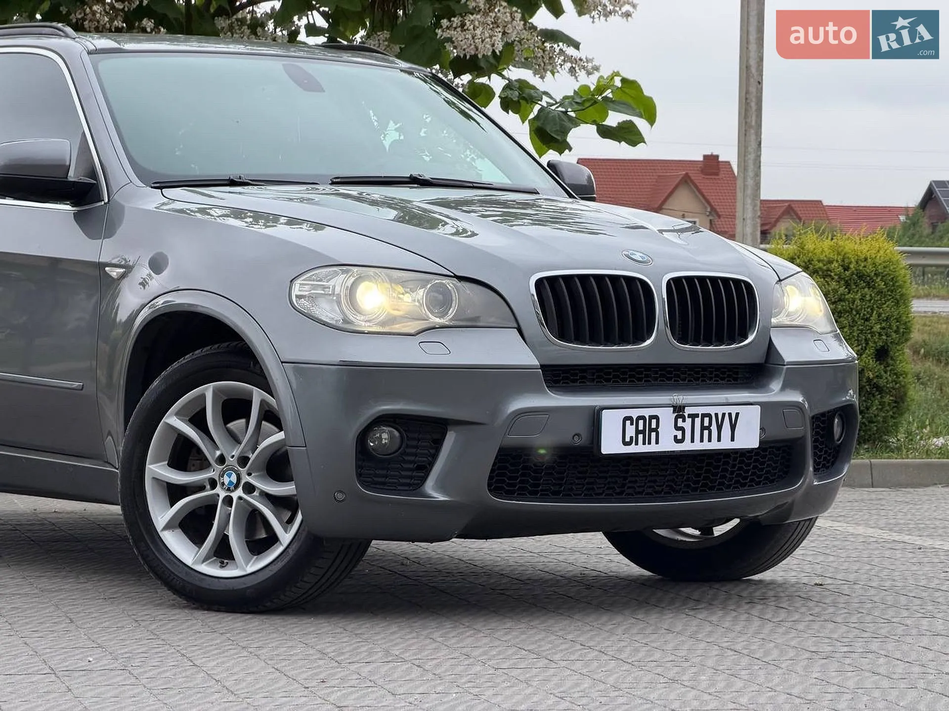 2010 BMW X5 - мініатюра 11