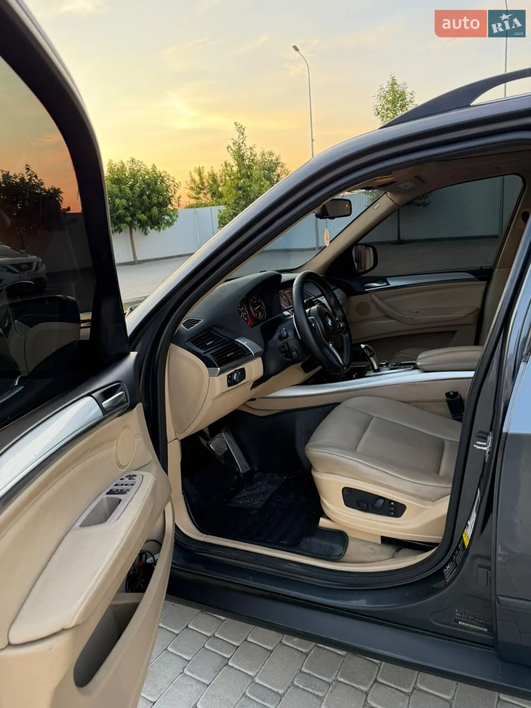 2010 BMW X5 - мініатюра 13