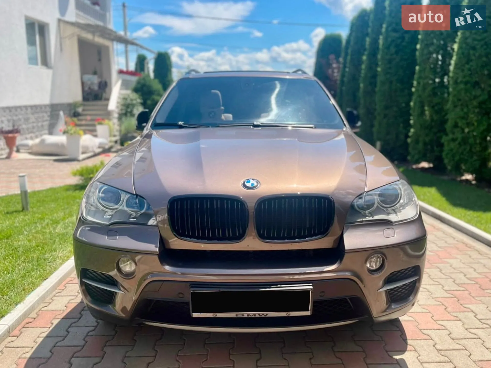 2010 BMW X5 - мініатюра 2
