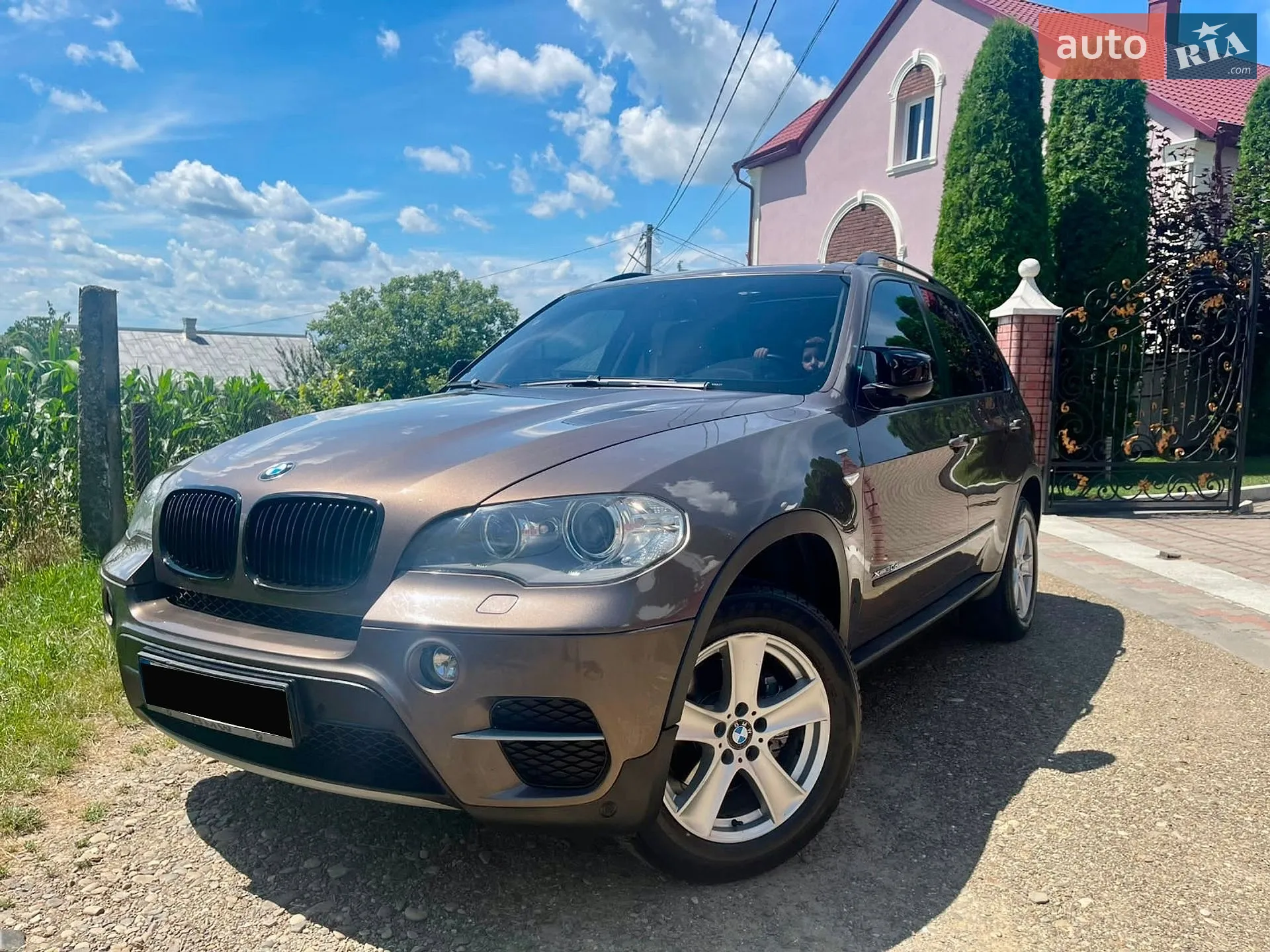 2010 BMW X5 - мініатюра 8