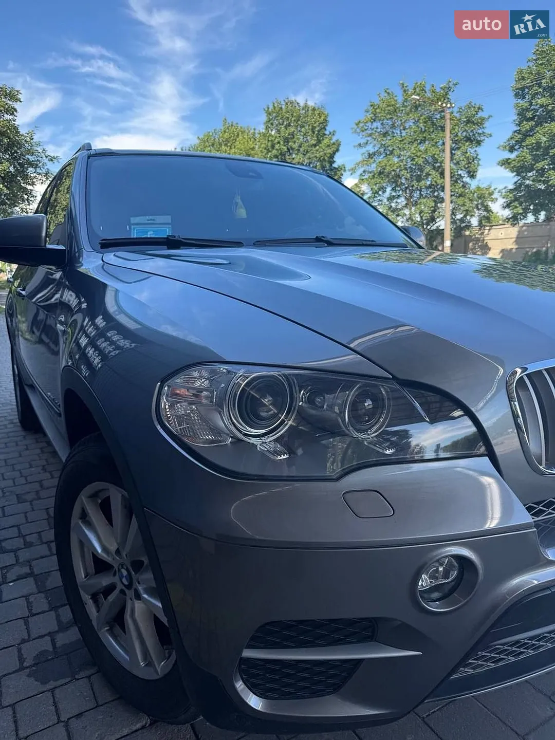 2010 BMW X5 - мініатюра 14