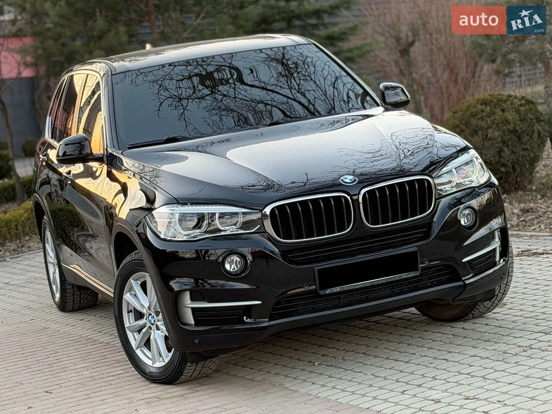 2017 BMW X5 - мініатюра 2