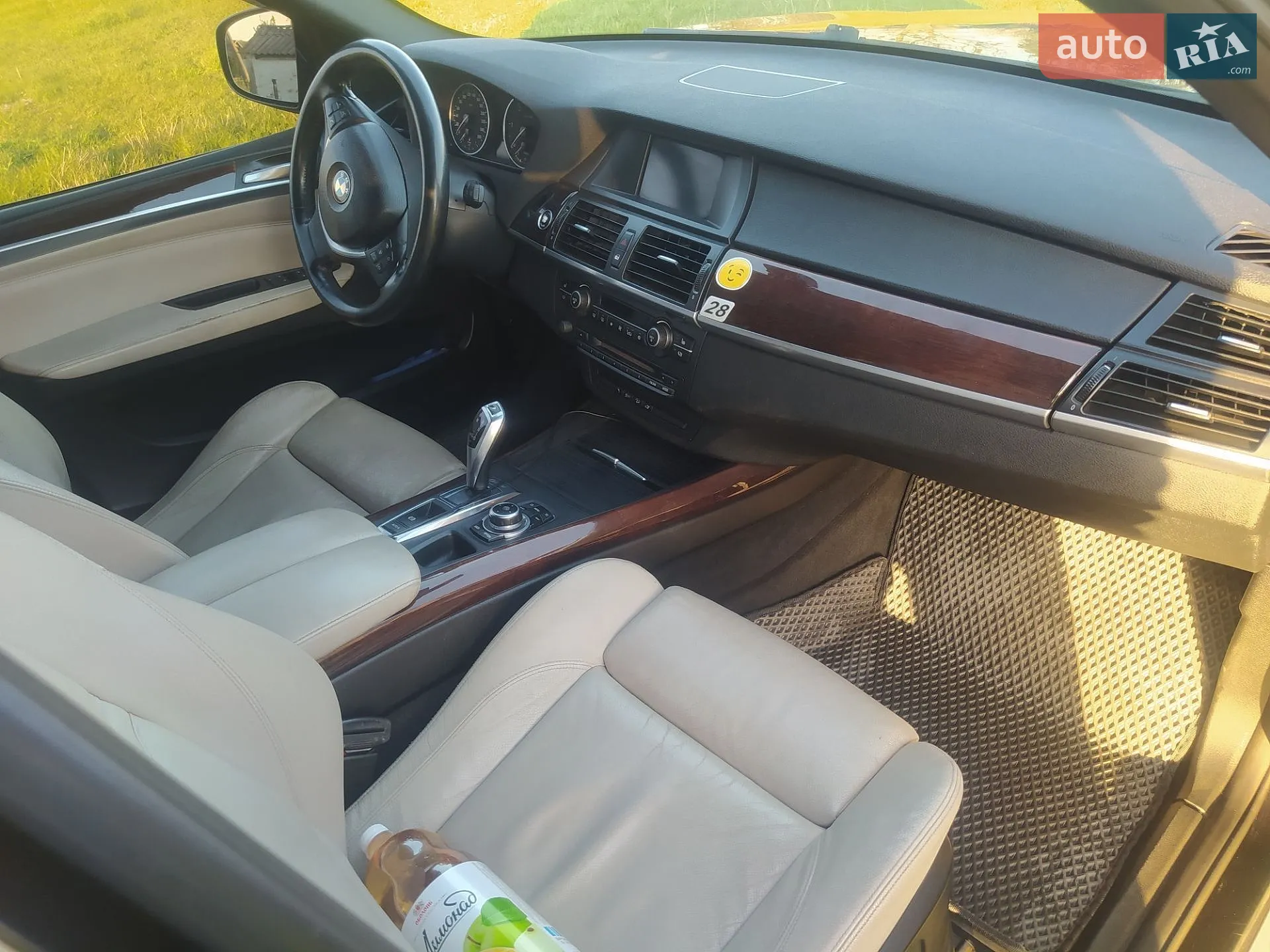 2010 BMW X5 - мініатюра 10